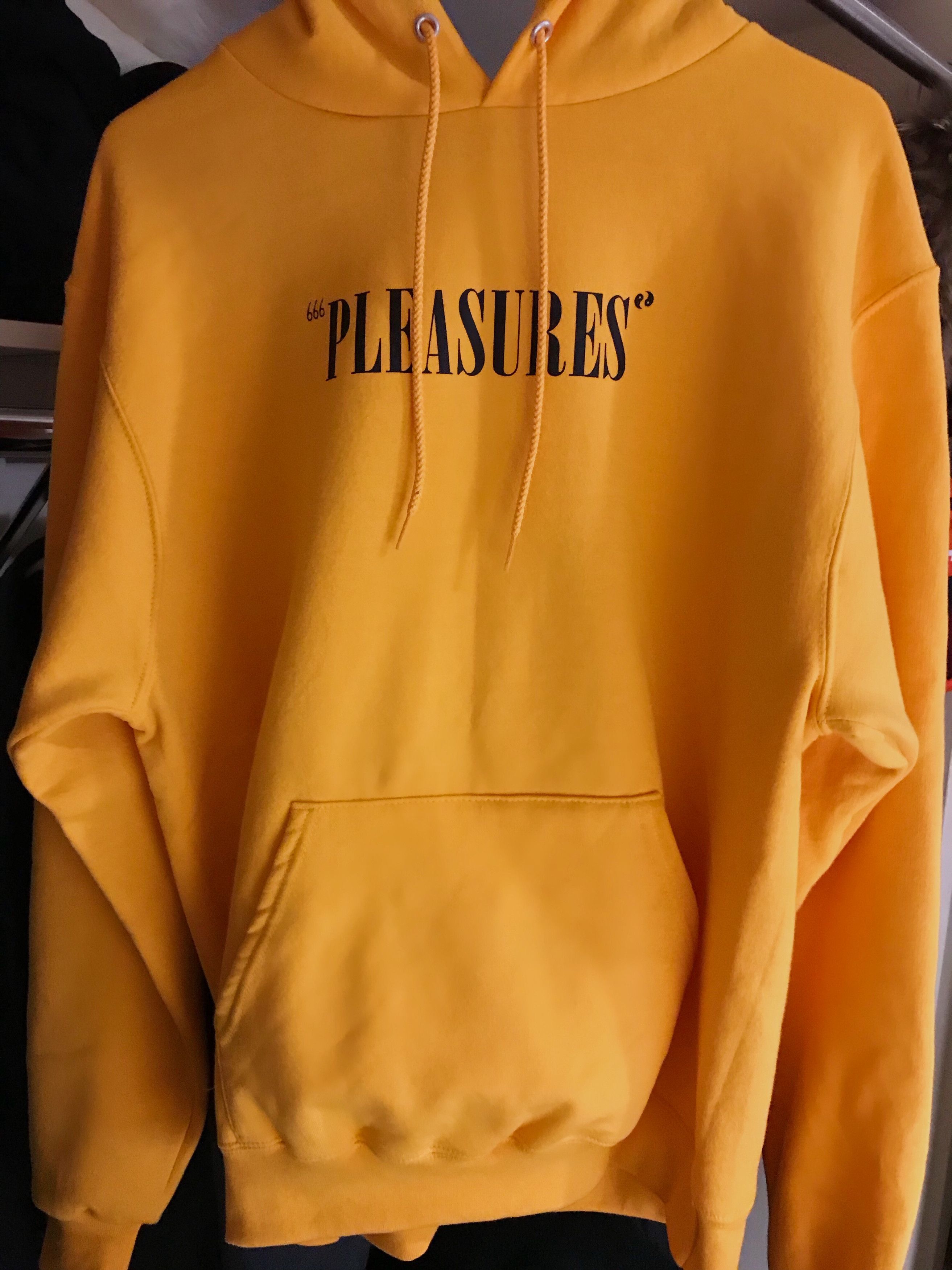 Pleasures MARK OF THE BEAST CHAMPION HOODIE Grailed