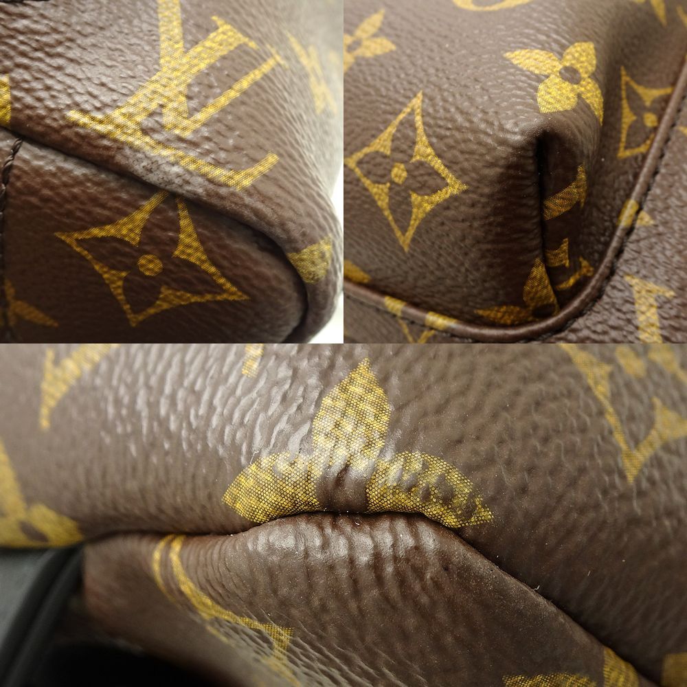 Louis Vuitton Monogram Palm Springs Backpack MM Brown