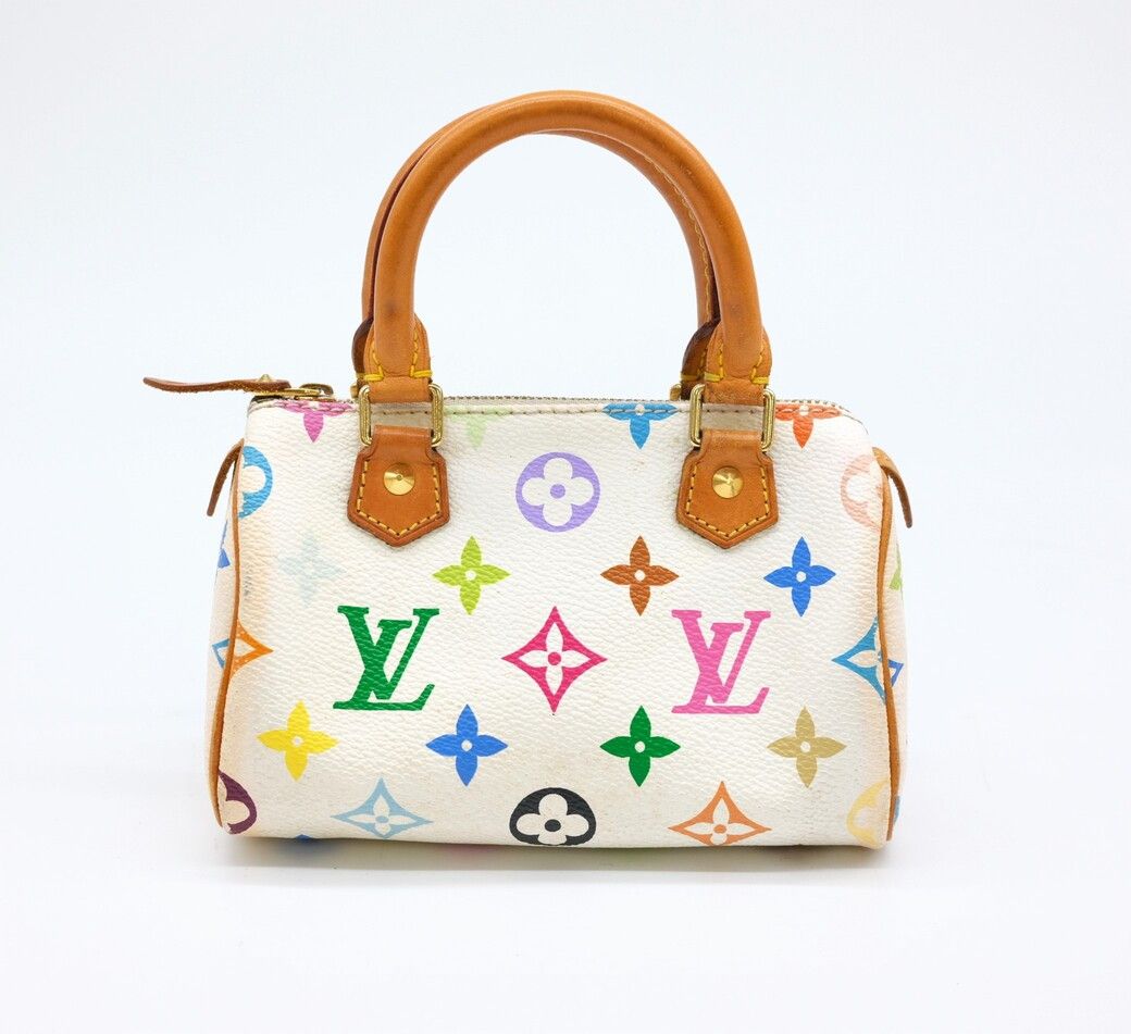 Louis Vuitton Multicolor Mini Speedy Shoulder Bag