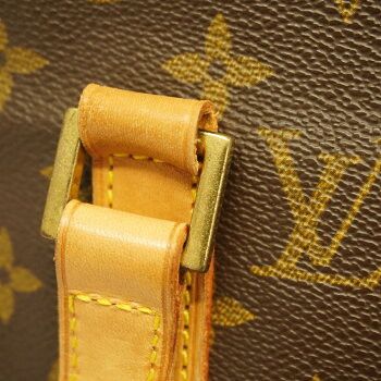 Louis Vuitton Monogram Hippo Piano Tote Bag