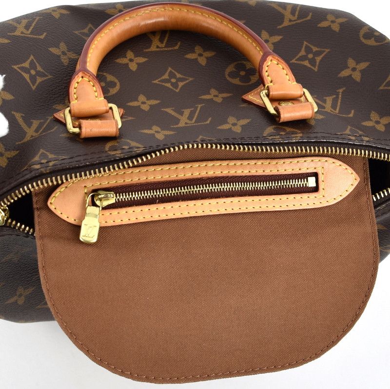 Louis Vuitton Speedy 25 Monogram Handbag Mini