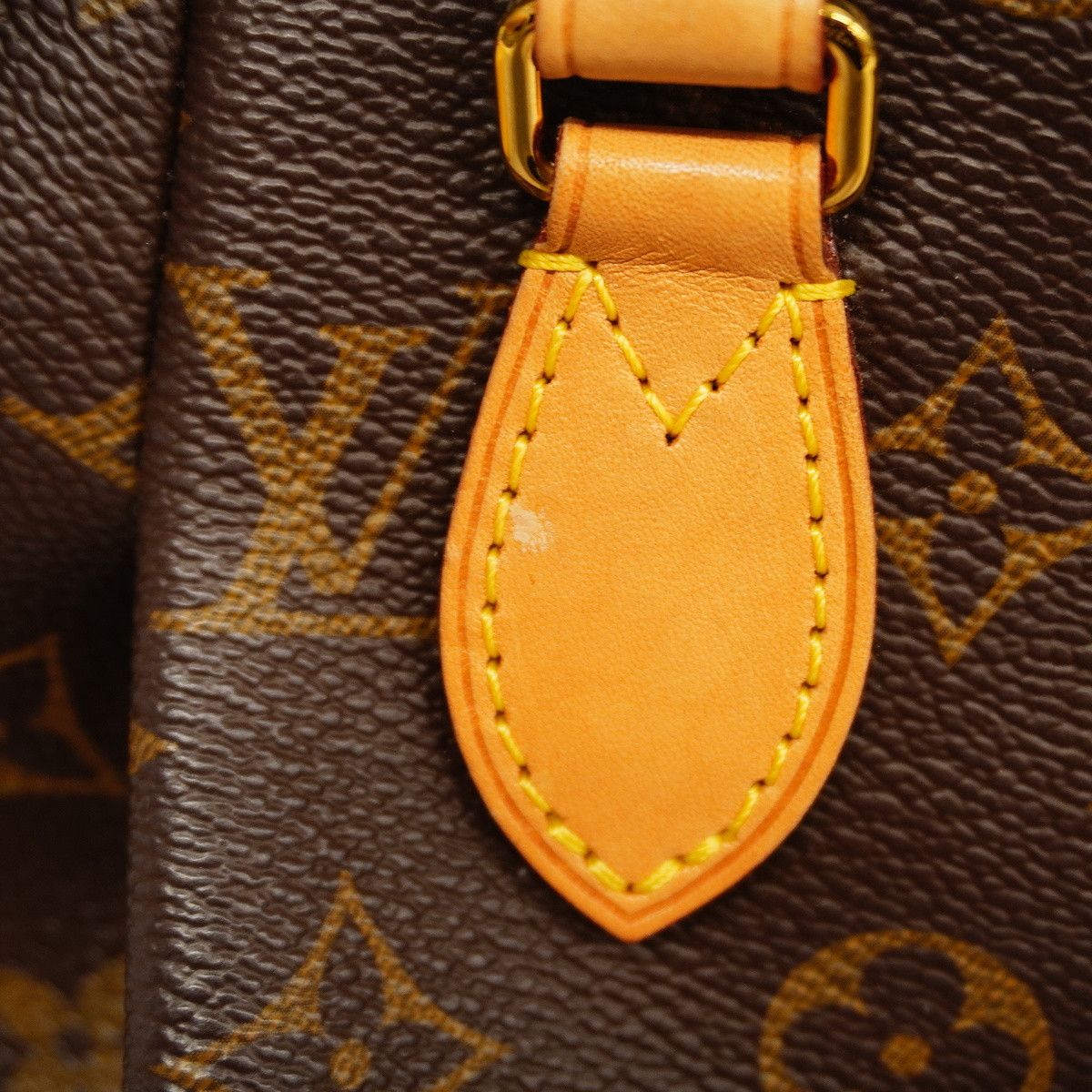 Louis Vuitton Monogram Turenne PM Shoulder Bag