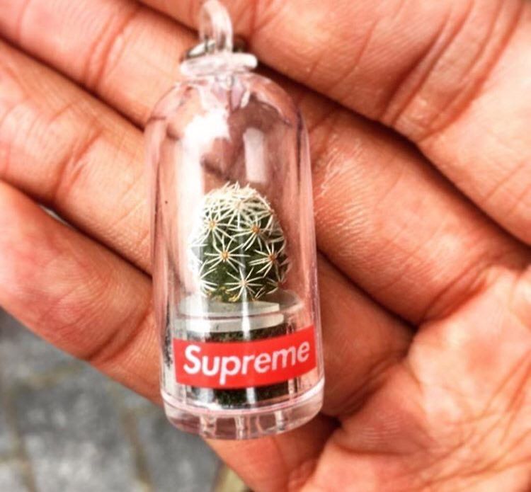 Supreme Supreme Cactus Keychain Grailed