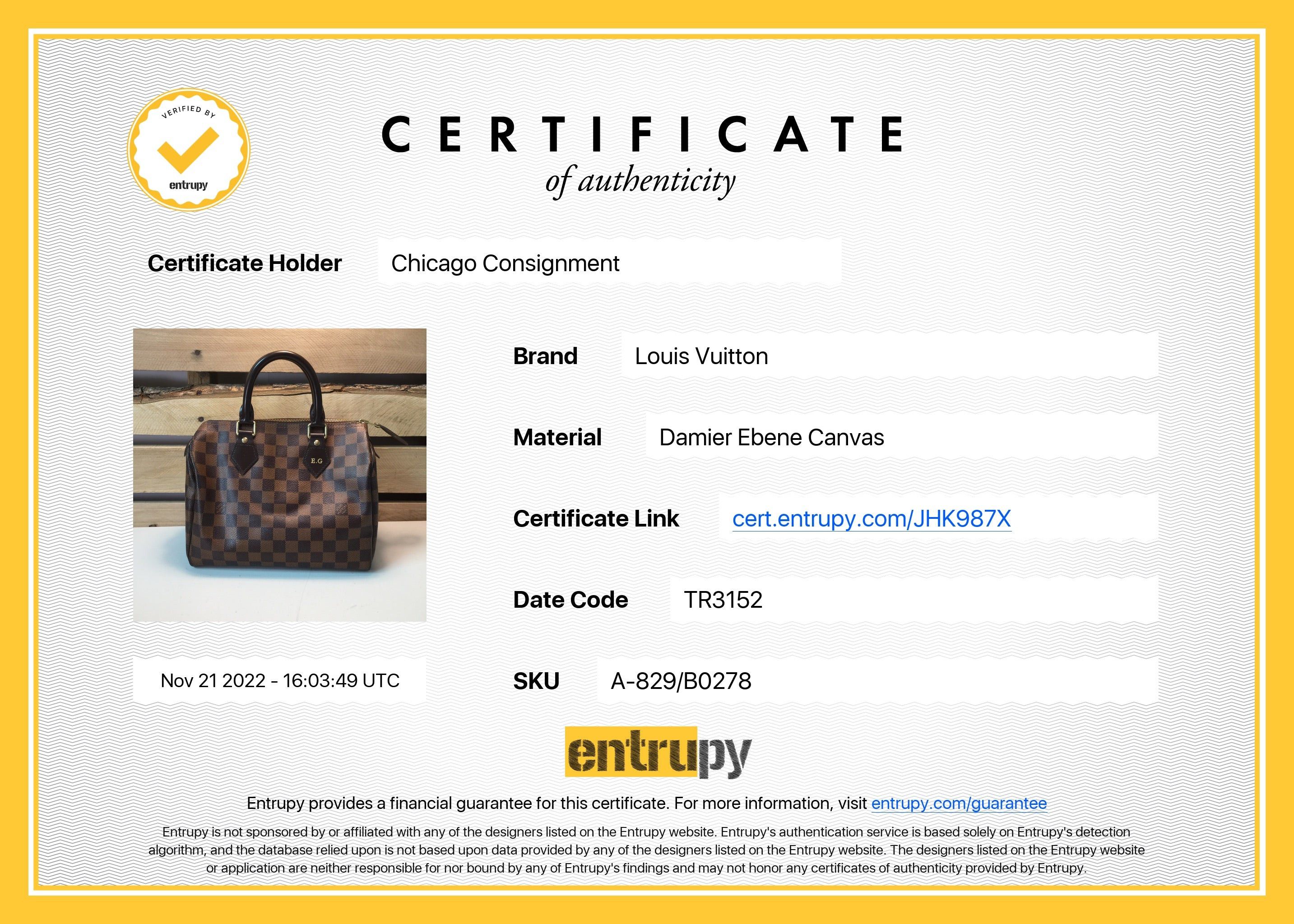 Louis Vuitton Damier Ebene Speedy 25 Satchel Handbag