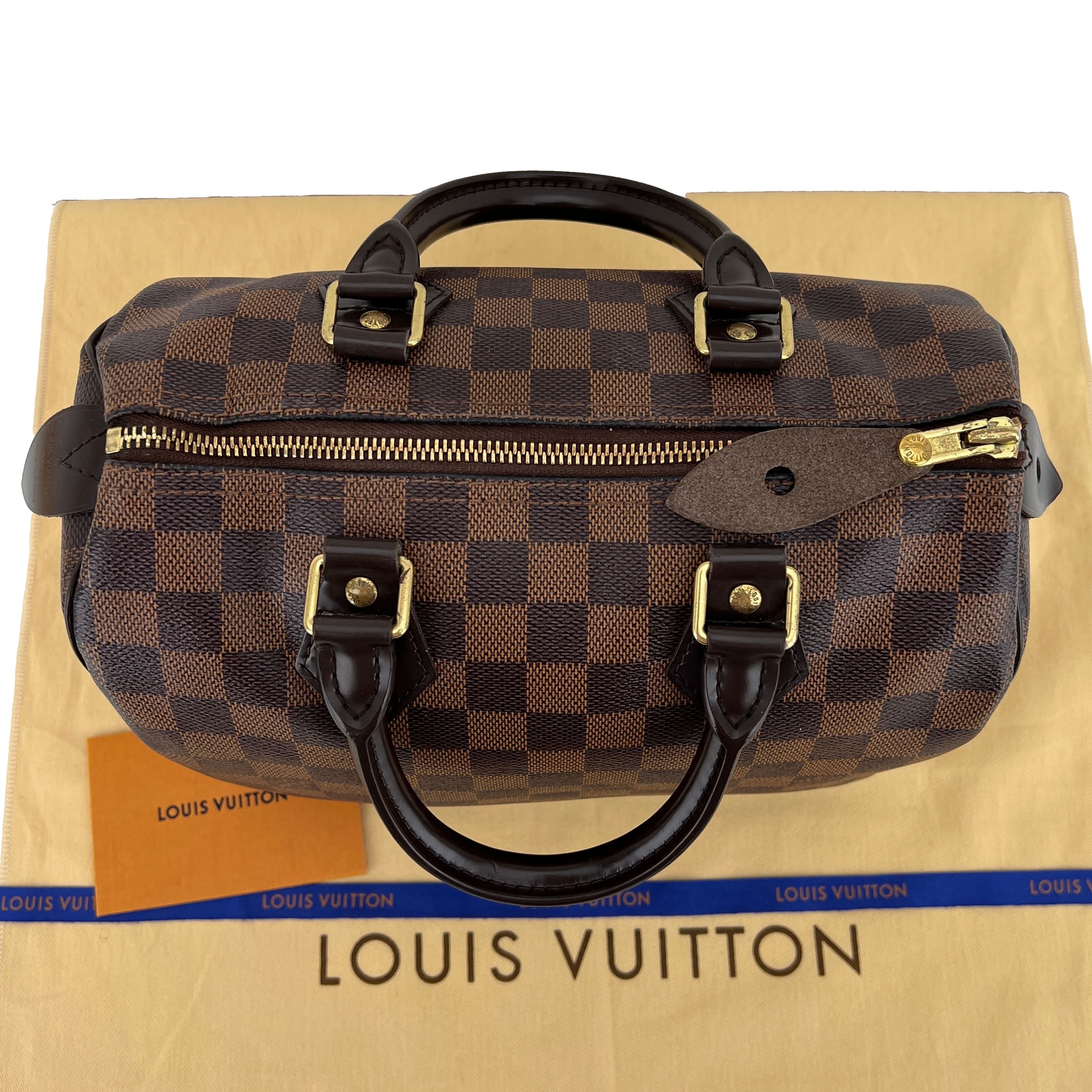 Louis Vuitton Damier Ebene Speedy 25 Satchel Handbag