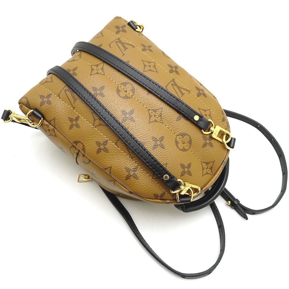 Louis Vuitton Monogram Reverse Palm Springs Mini Backpack