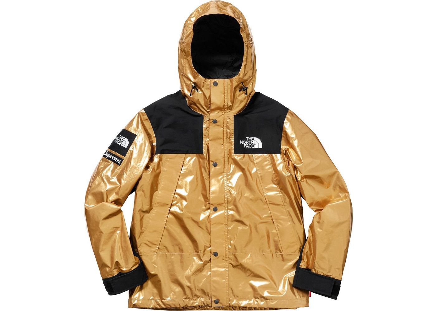 Supreme The North Face Metallic Mountain Parka Grailed