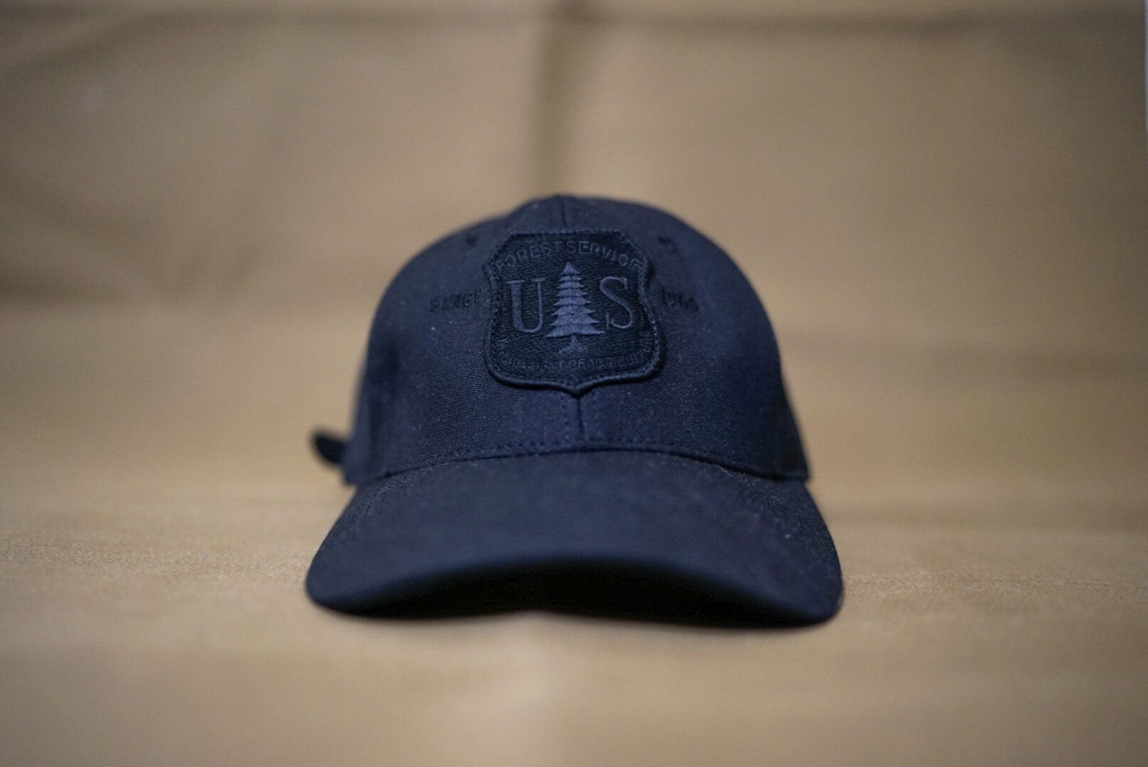 Filson USFS Logger Cap | Grailed