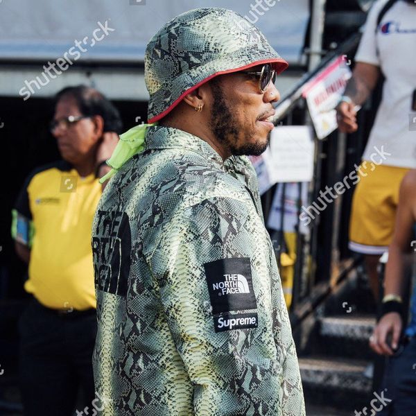 Supreme Supreme/The North Face Snakeskin Taped Seam Coaches Jacket