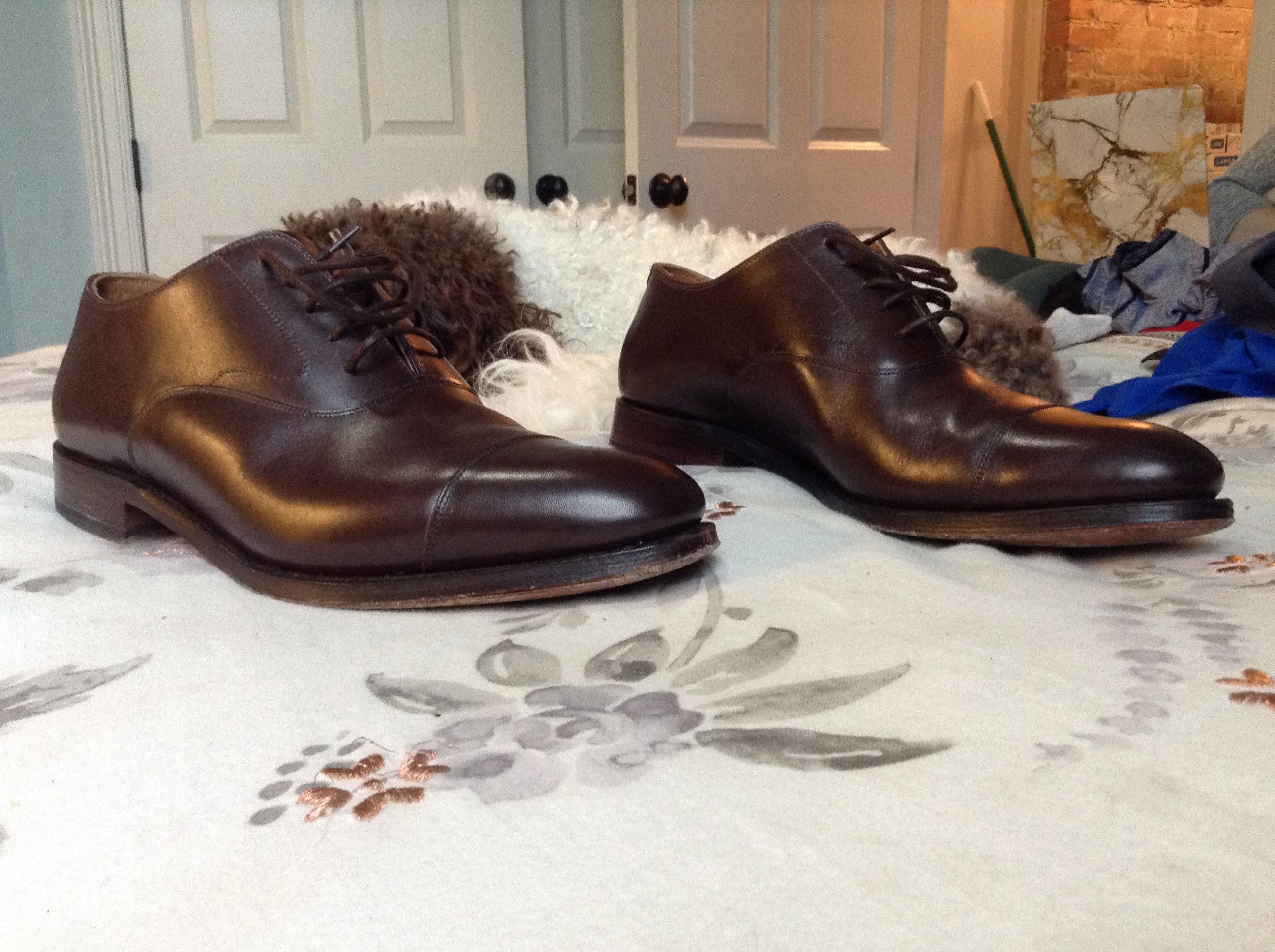 Dark Brown Oxford