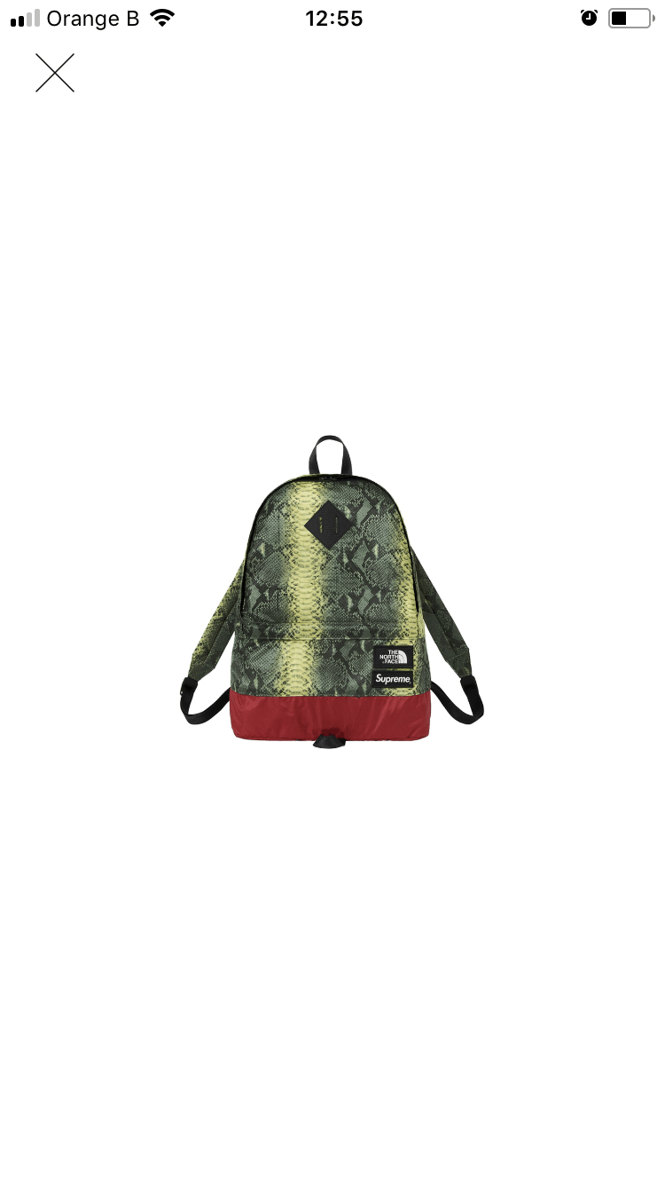 Supreme The North Face Snakeskin Lightweight Day Pack Green