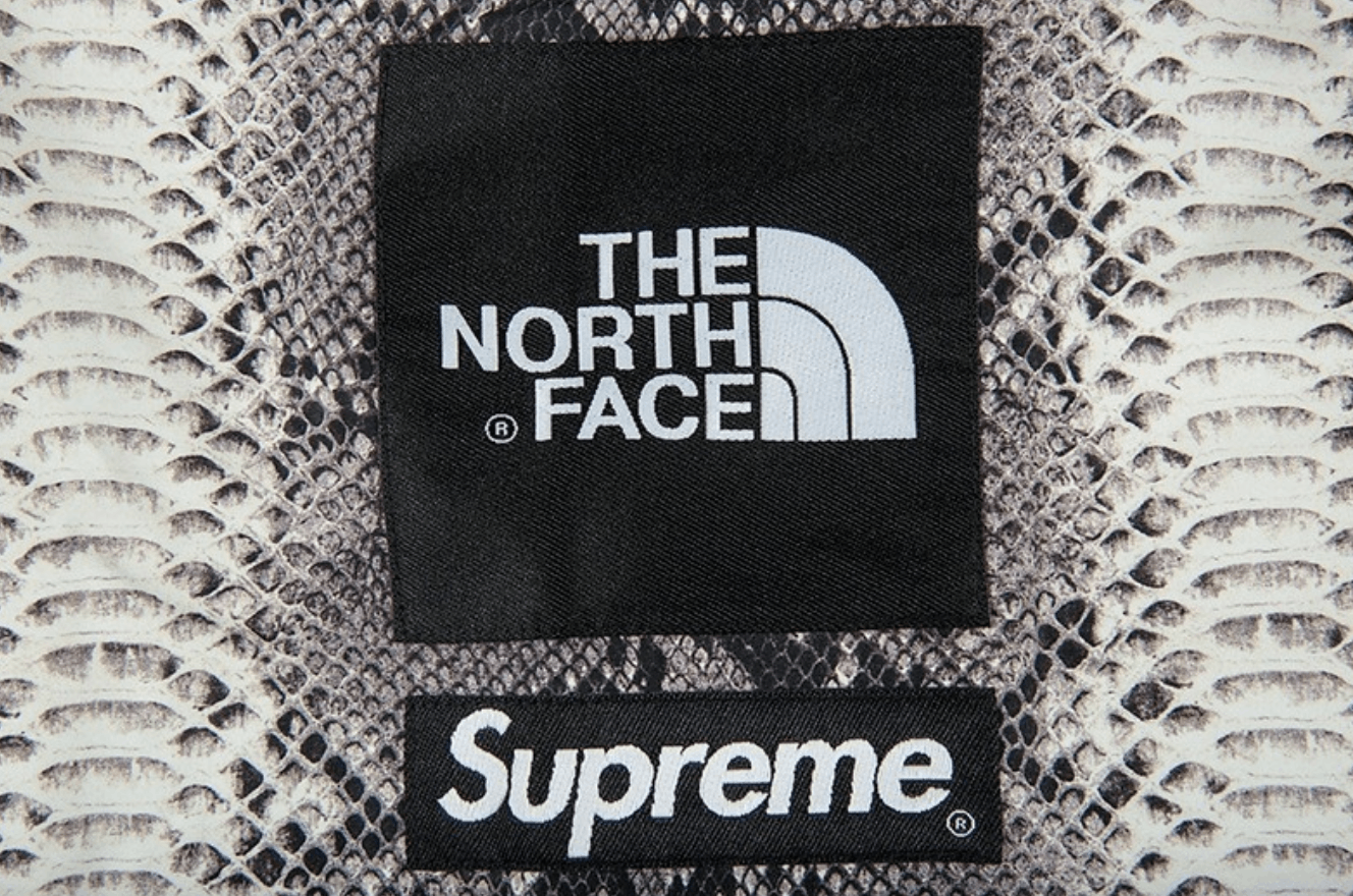 Supreme Supreme X The Northface Snakeskin Tape Seam Coaches Jacket ...