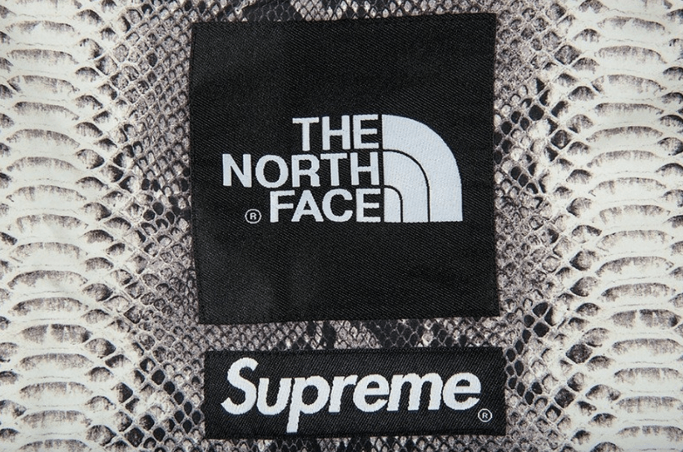 supreme THE NORTH FACESnakeskinTapedseam - 通販 - abgsigorta.com.tr