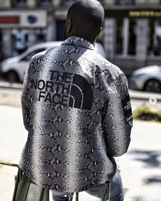 Supreme x cheap north face snakeskin