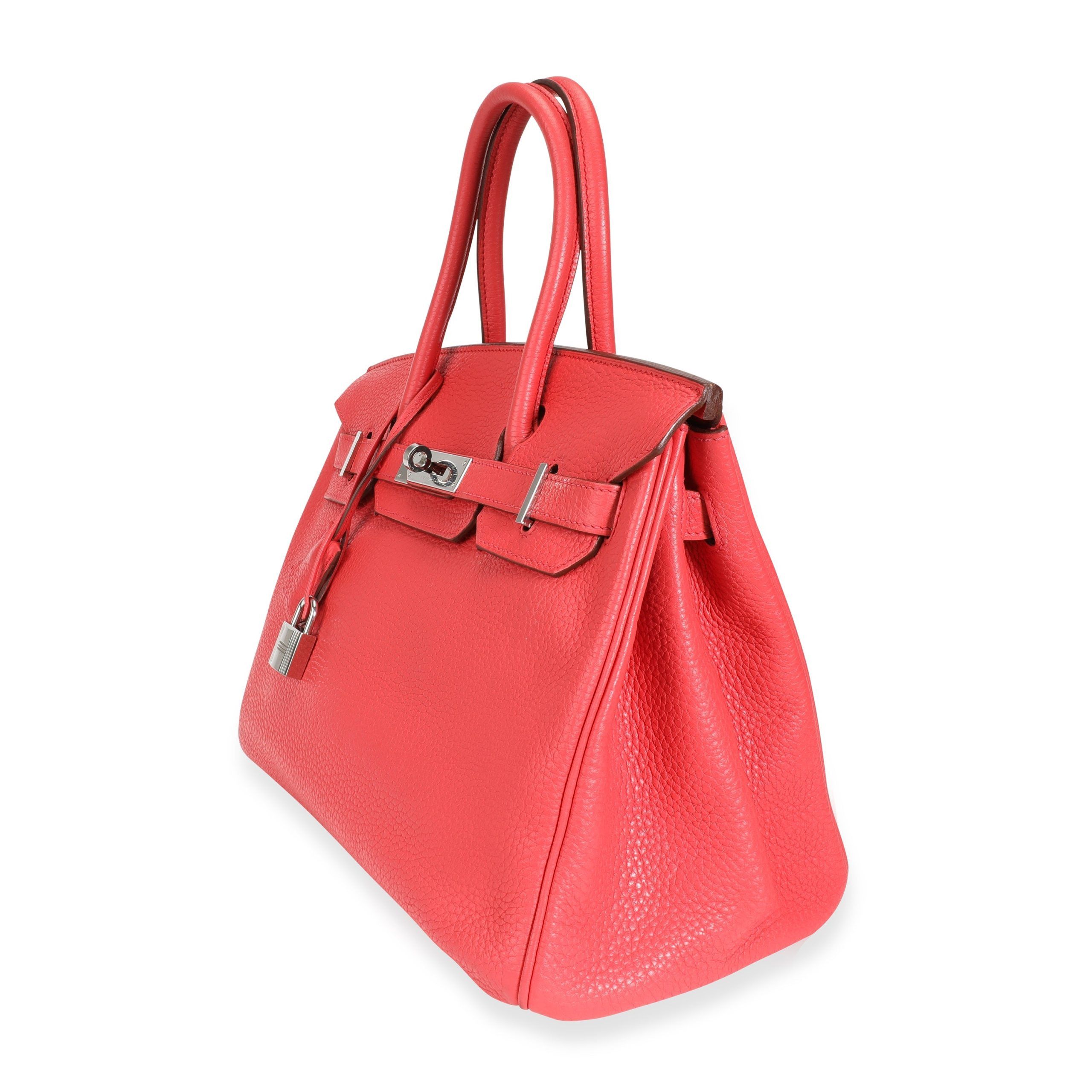 Hermes Hermes Bougainvillea Cl√©mence Birkin 30 with Palladium Hardware Size ONE SIZE - 2 Preview