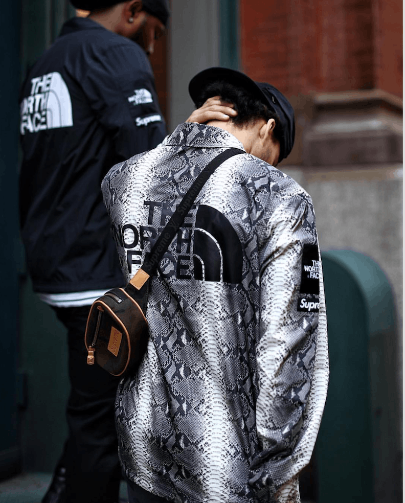 Supreme Supreme TNF Snakeskin Taped Seam Coaches Jacket | Grailed