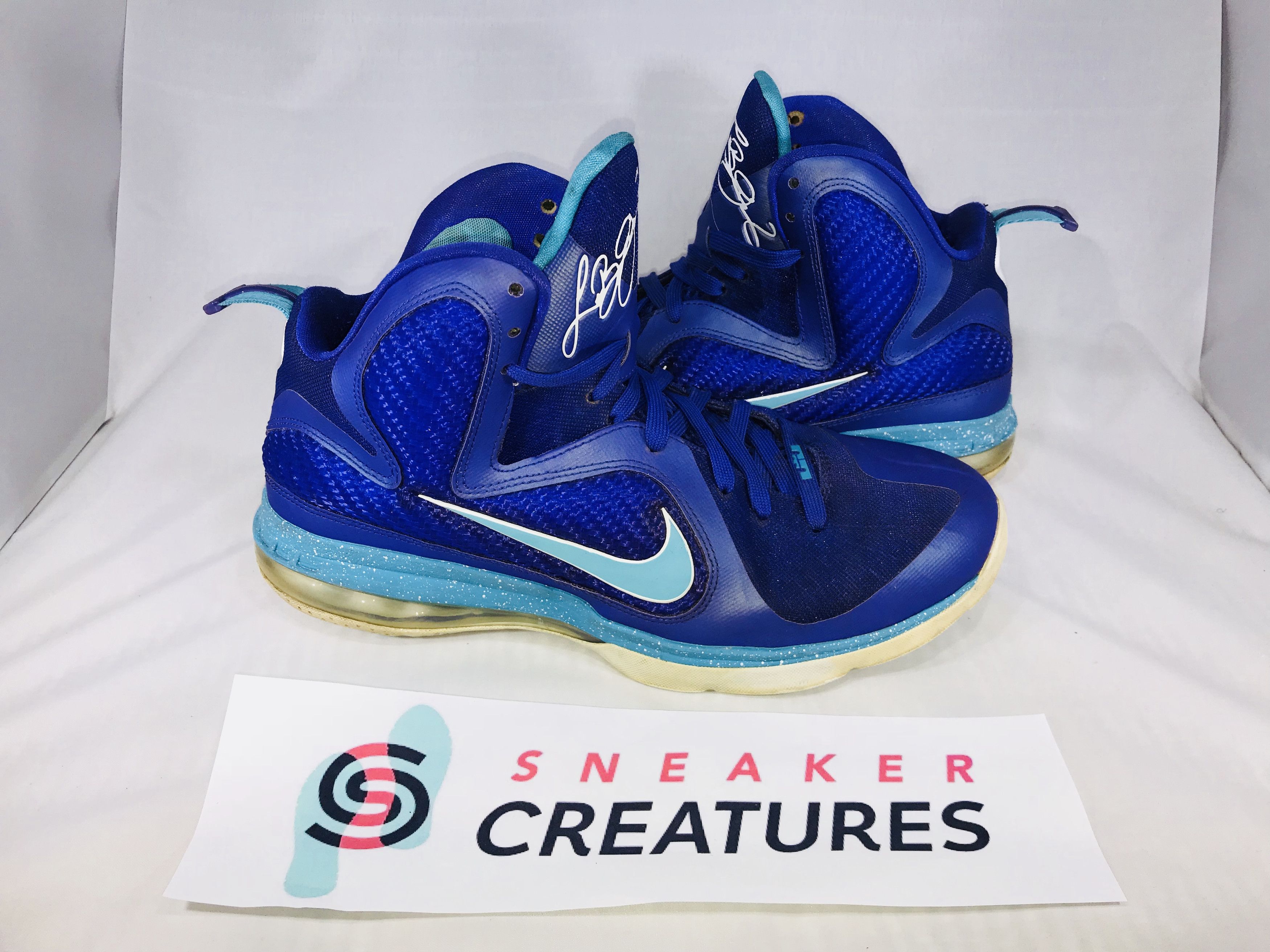 Lebron 9 Summit Lake Hornet 469764 500 Size 9.5 No Original Box