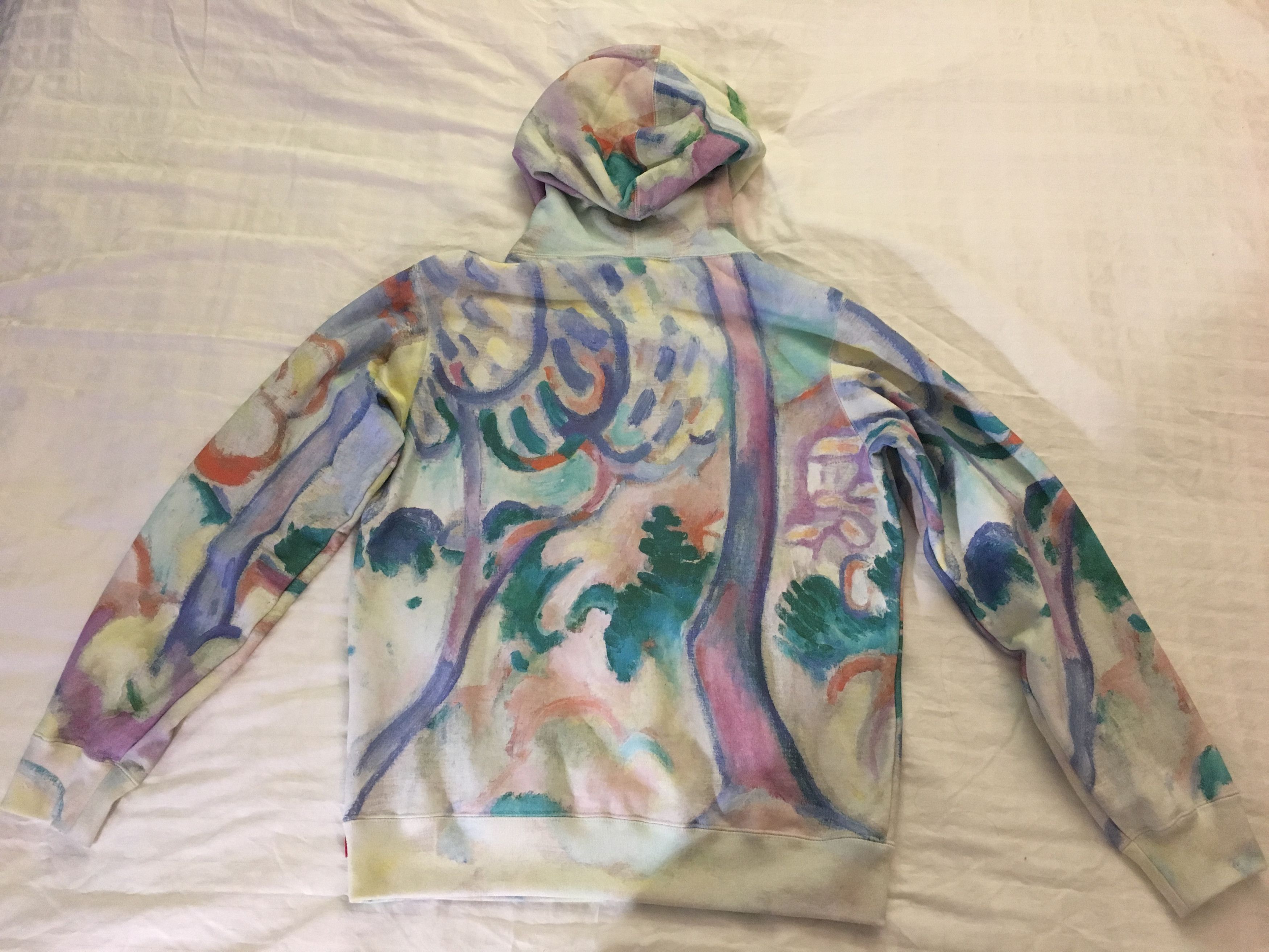 Supreme landscape hooded sweatshirt multicolor online