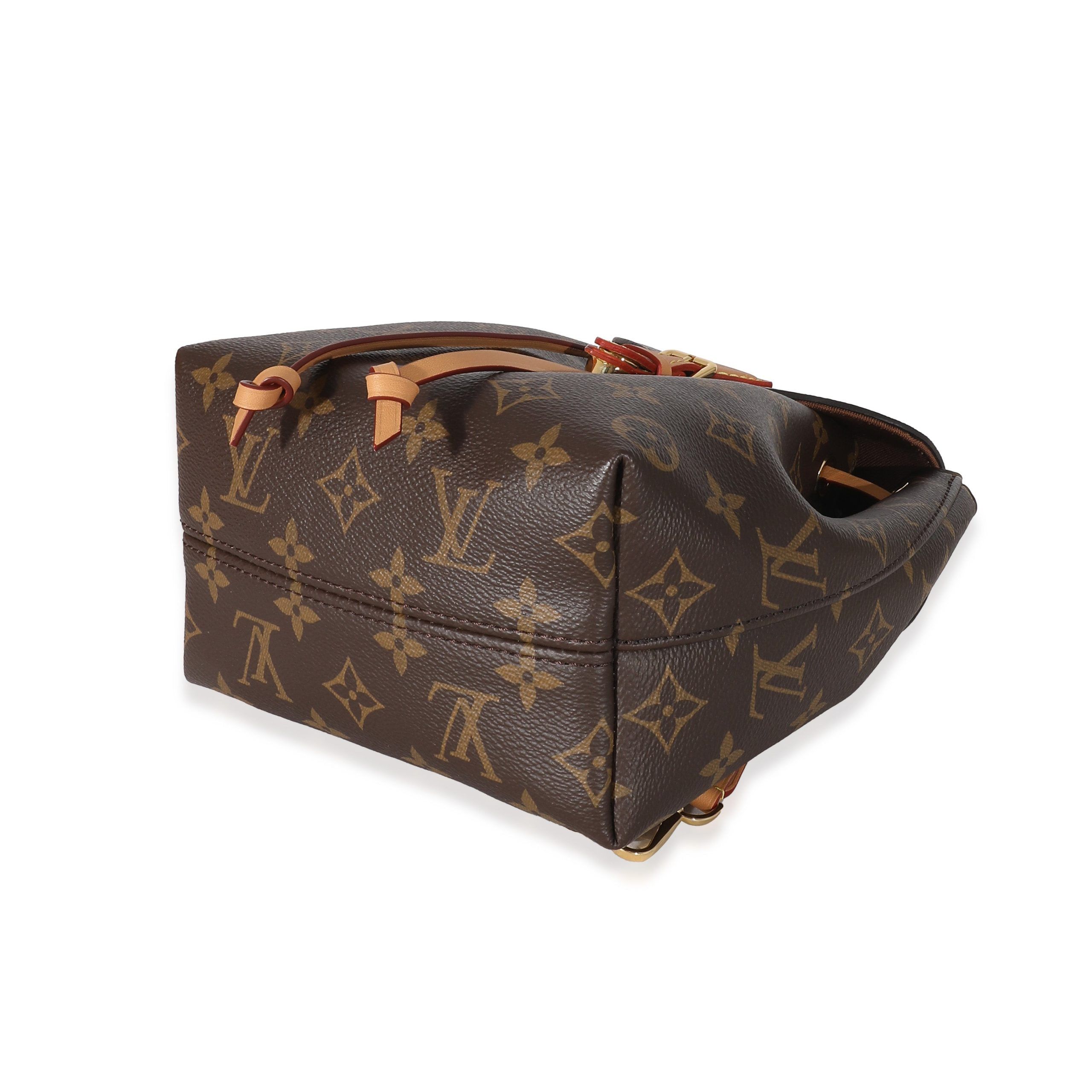 Louis Vuitton Monogram Canvas Montsouris BB