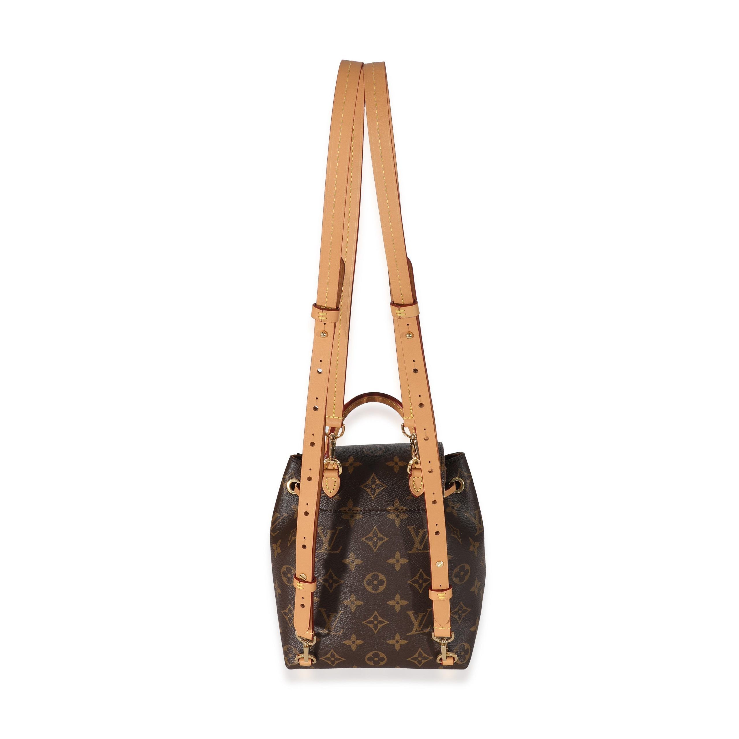 Louis Vuitton Monogram Canvas Montsouris BB