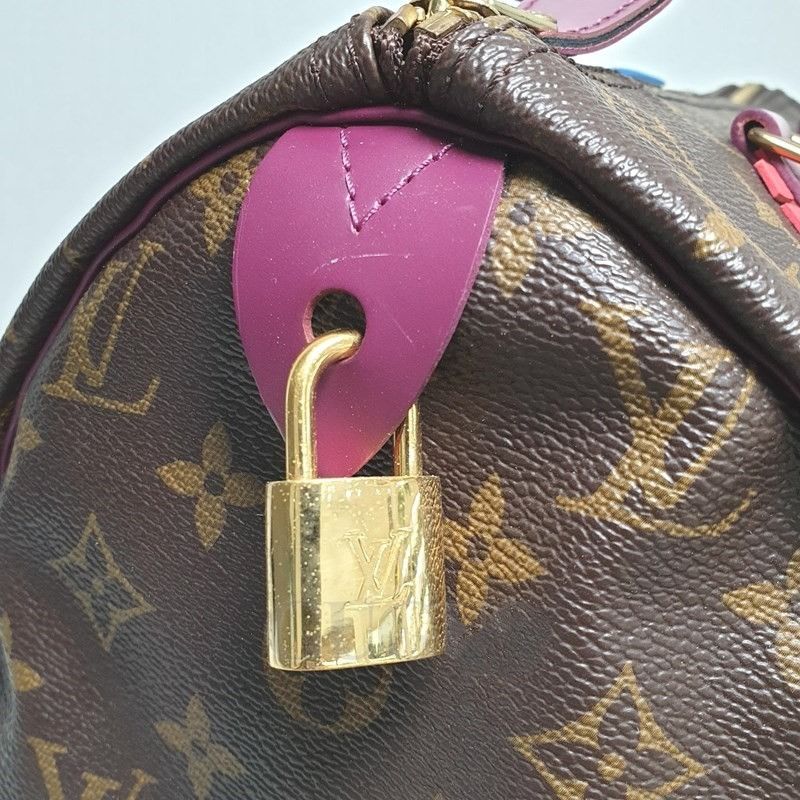 Louis Vuitton LOUIS VUITTON Speedy 30 Monogram Limited Edition Totem Magenta Size ONE SIZE - 6 Thumbnail