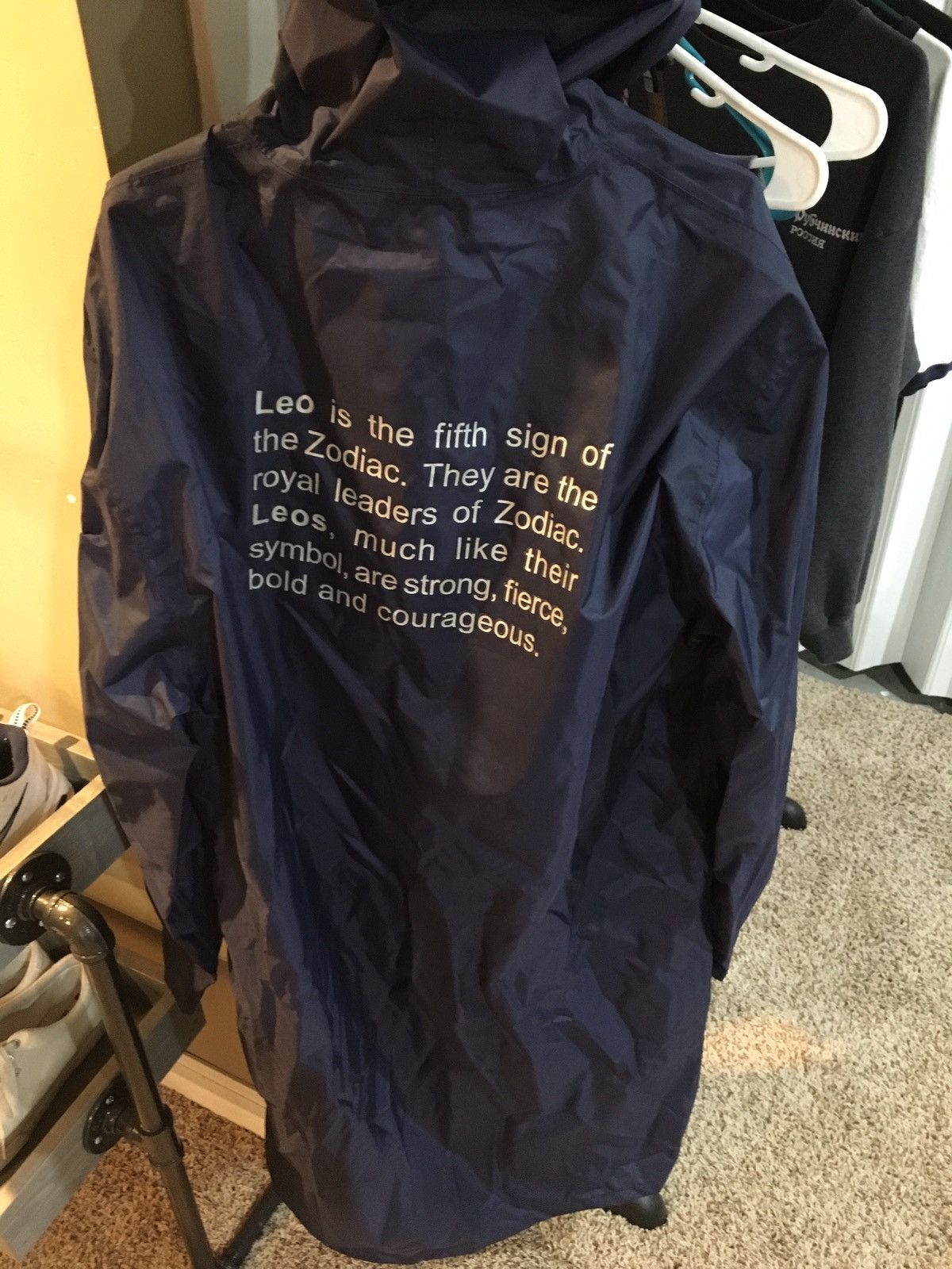 Vetements Vetements Horoscope Raincoat Grailed