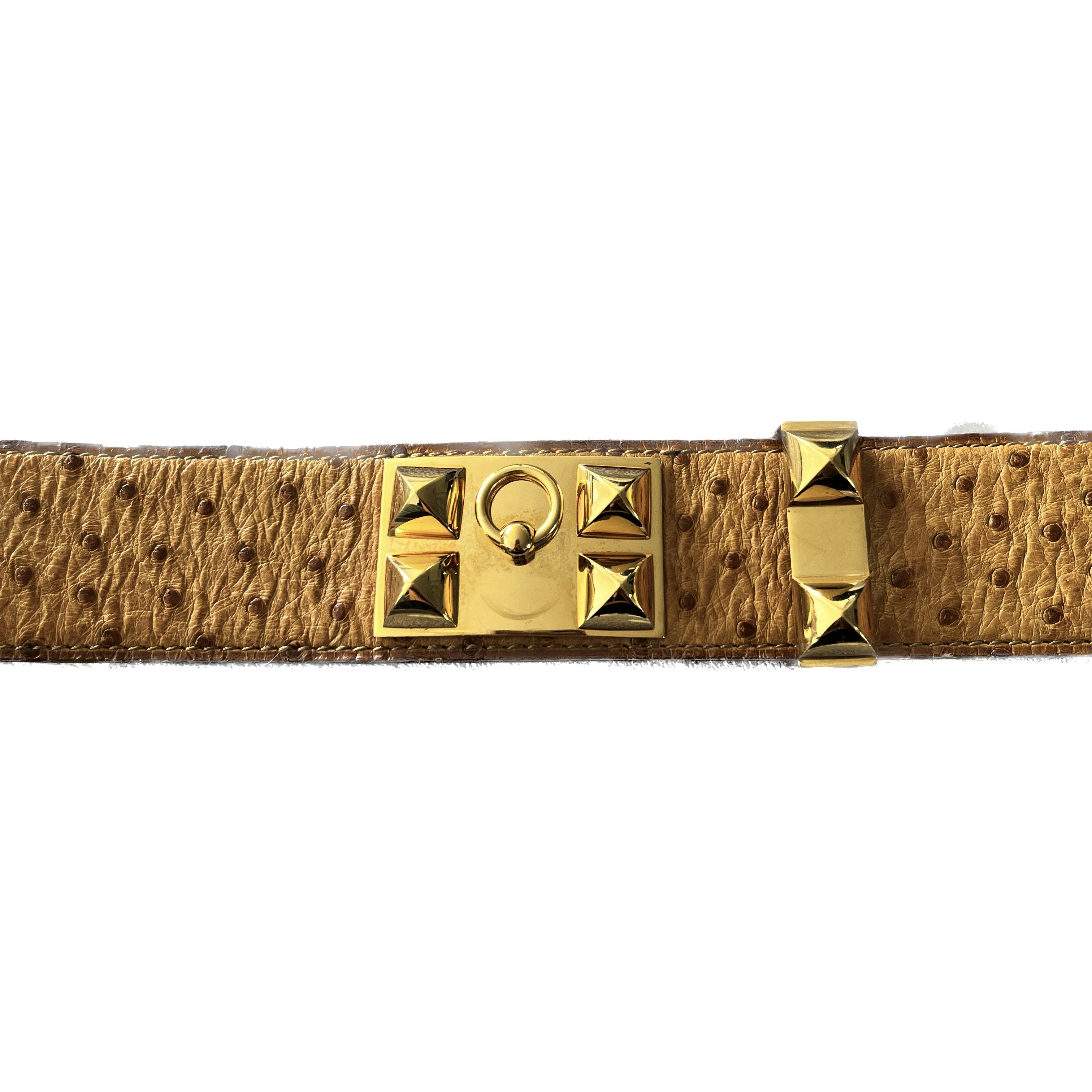 Hermes HERMÈS belt Medor dog collar in ostrich leather Size ONE SIZE - 7 Thumbnail