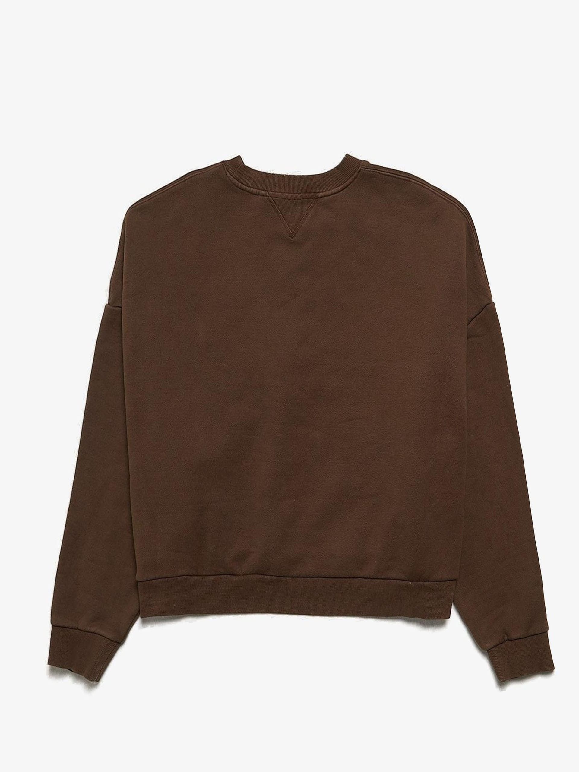 Brown Boxy Crewneck Cotton Sweatshirt