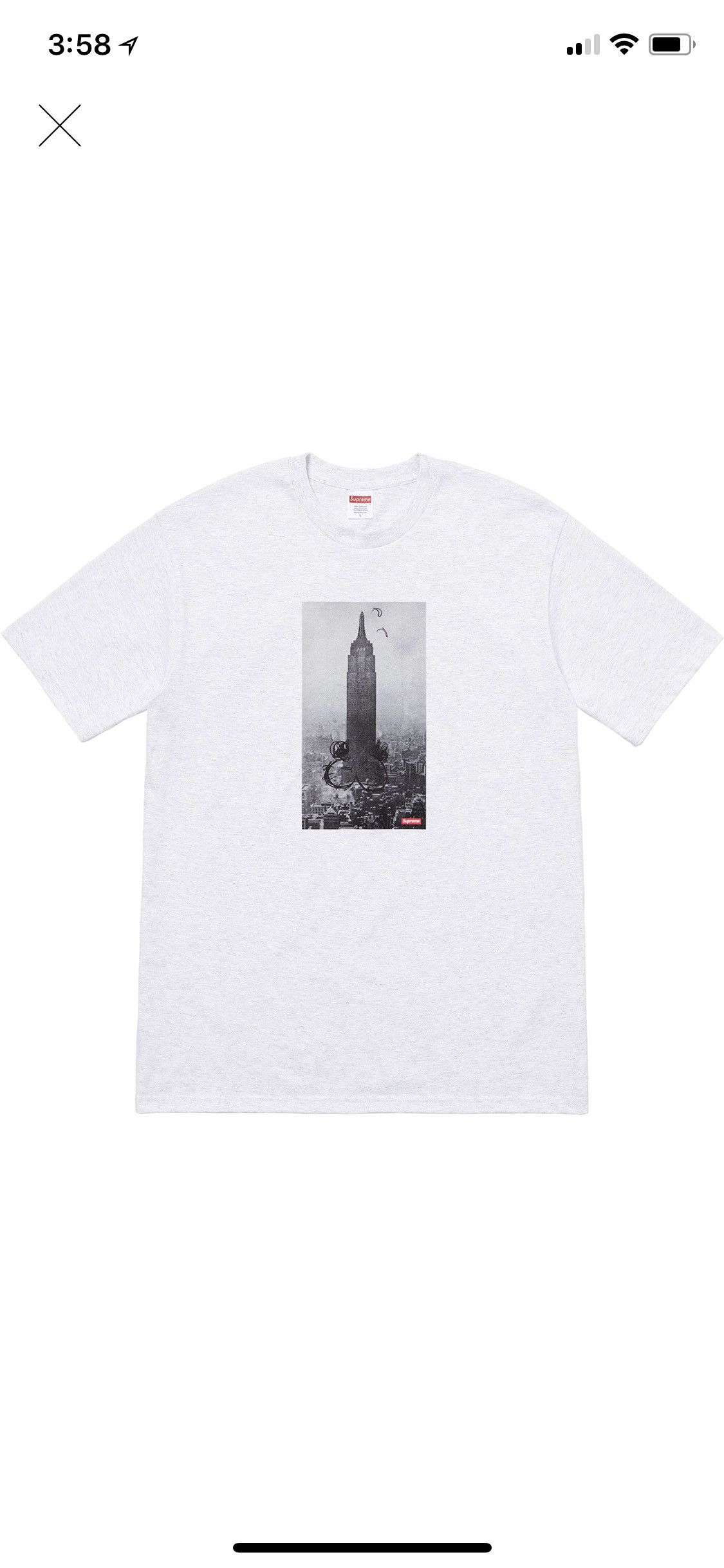 Supreme Mike Kelley Empire State Building Ash Gray Tops