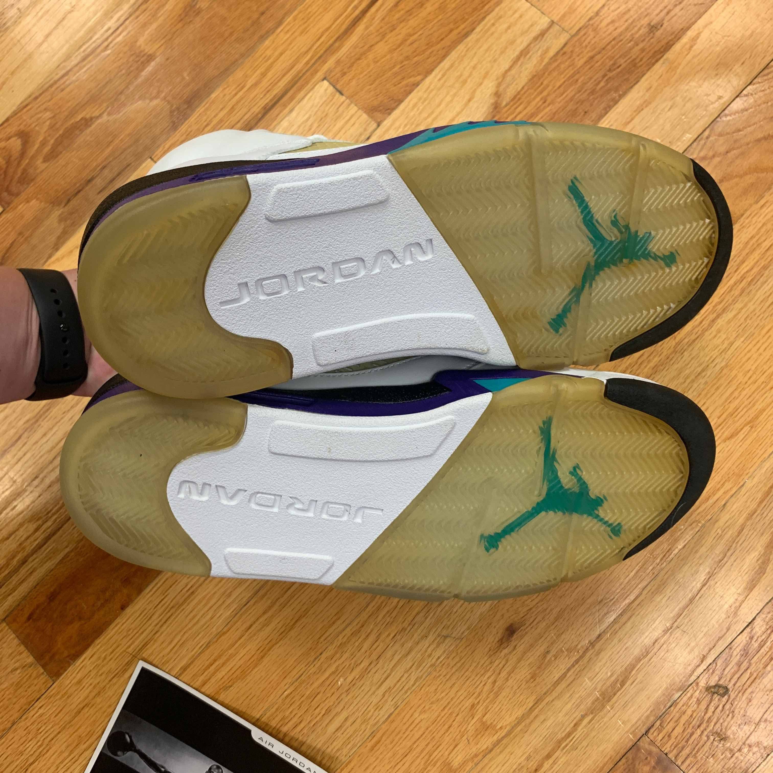 Air Jordan 5 Retro LS Grape 2006