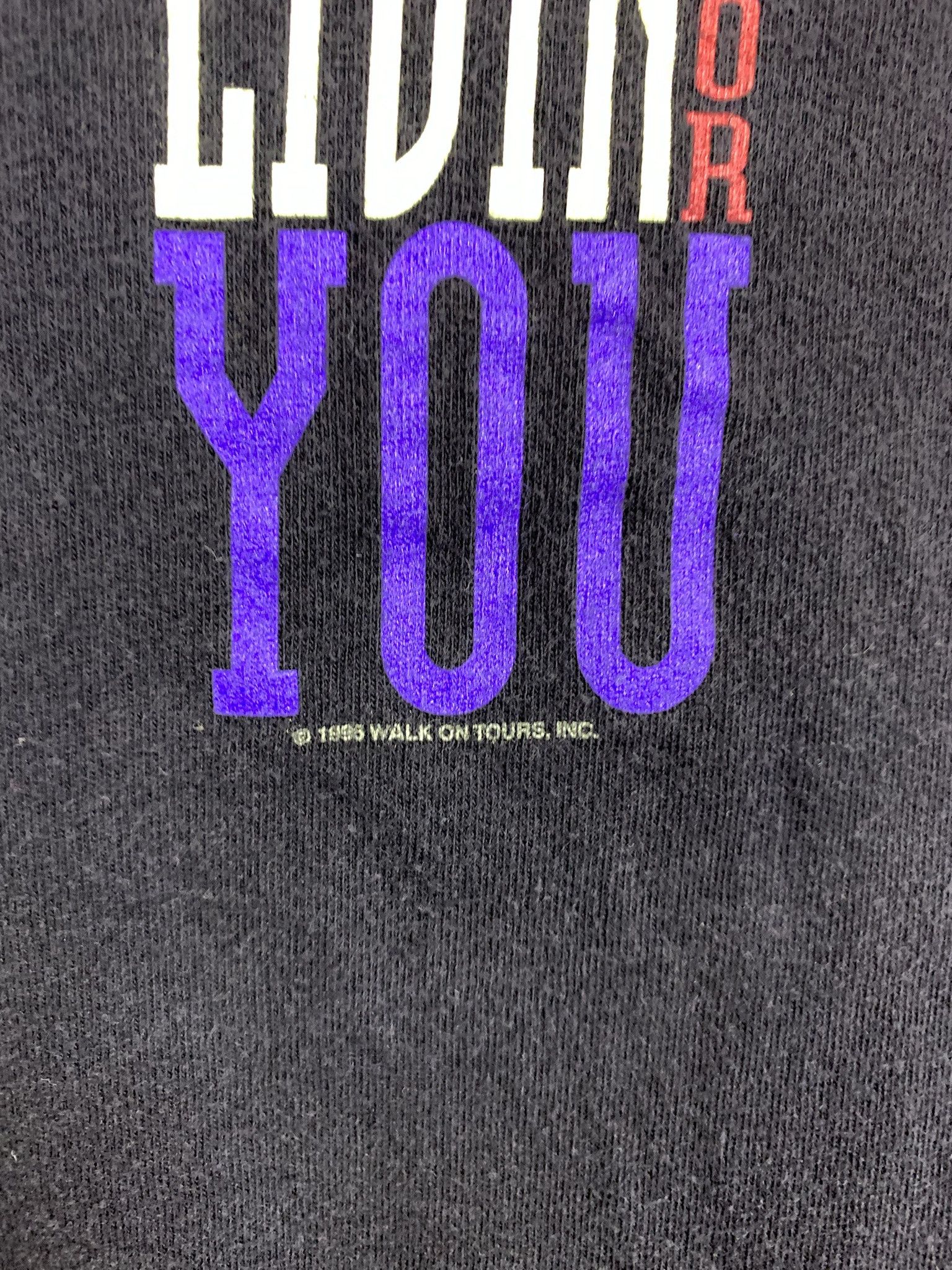Vintage Vintage 1995 Boston Band Tee Dont Stop Believing Tour Tee 1995 Size L Size US L / EU 52-54 / 3 - 4 Thumbnail