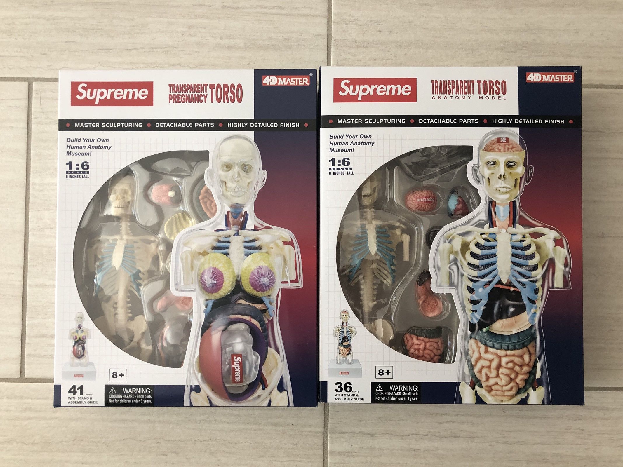 Supreme Supreme Anatomy Model Clear - Male & Female Set | Grailed