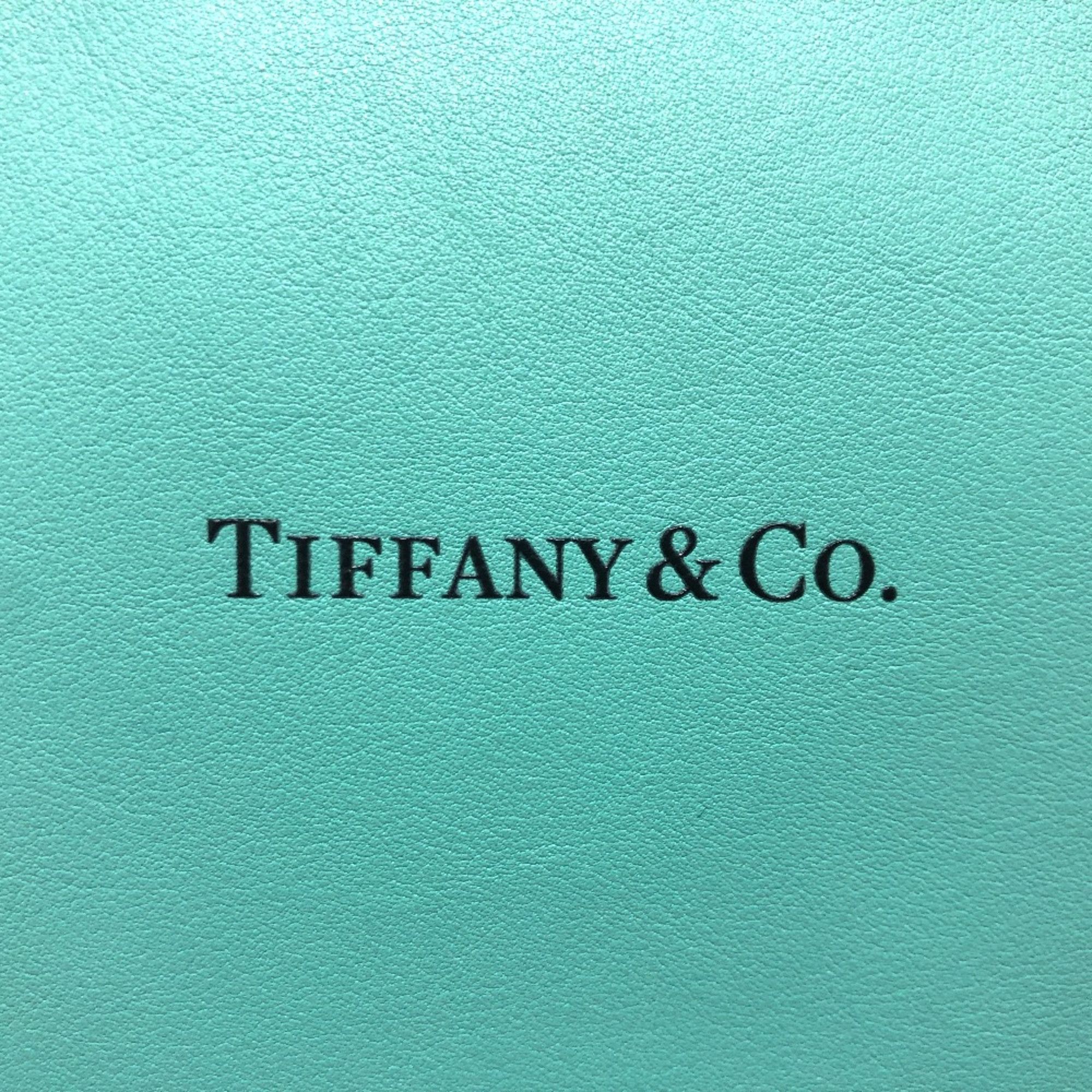 Tiffany & Co. TIFFANY&Co. Cat street 2WAY Hand Bag Shoulder Bag blue SilverHardware Size ONE SIZE - 7 Thumbnail