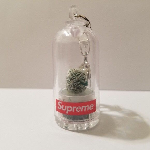 Supreme best sale cactus keychain