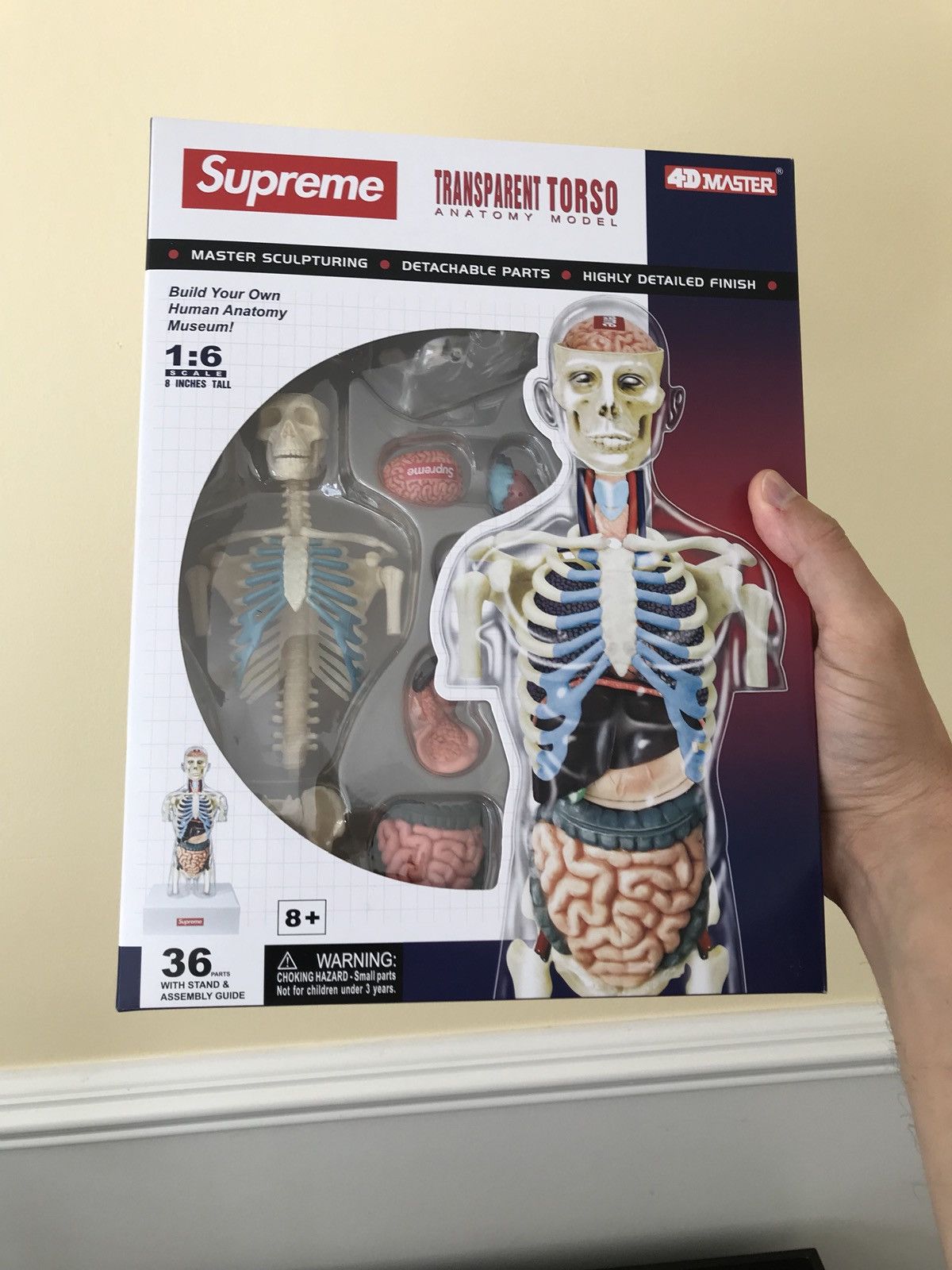 Supreme torso 人体模型 supreme transparent  -