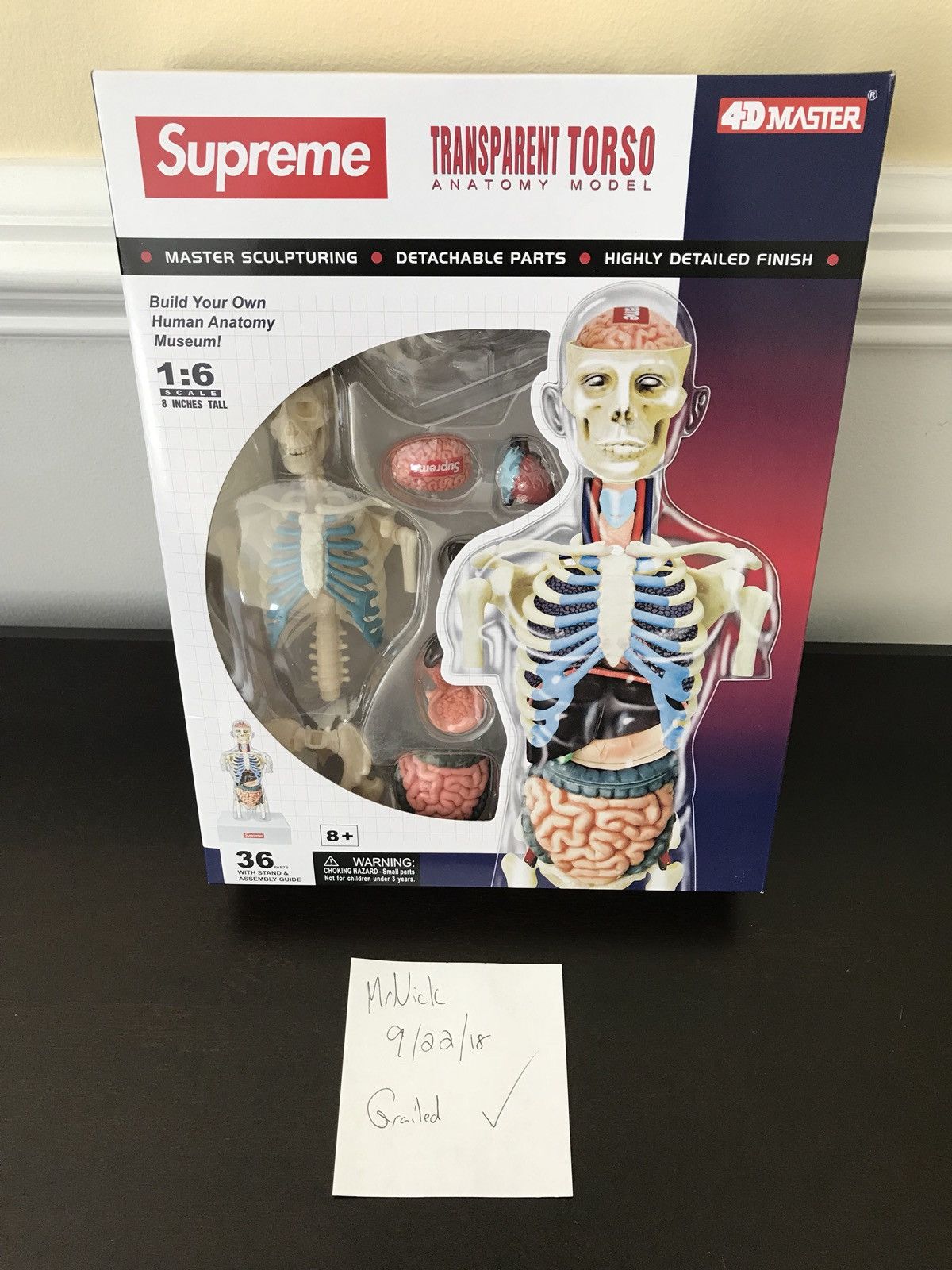 Supreme - supreme  transparent torso 人体模型 ☆Pre owned☆ Supreme Male& Female Transparent Torso Anatomy
