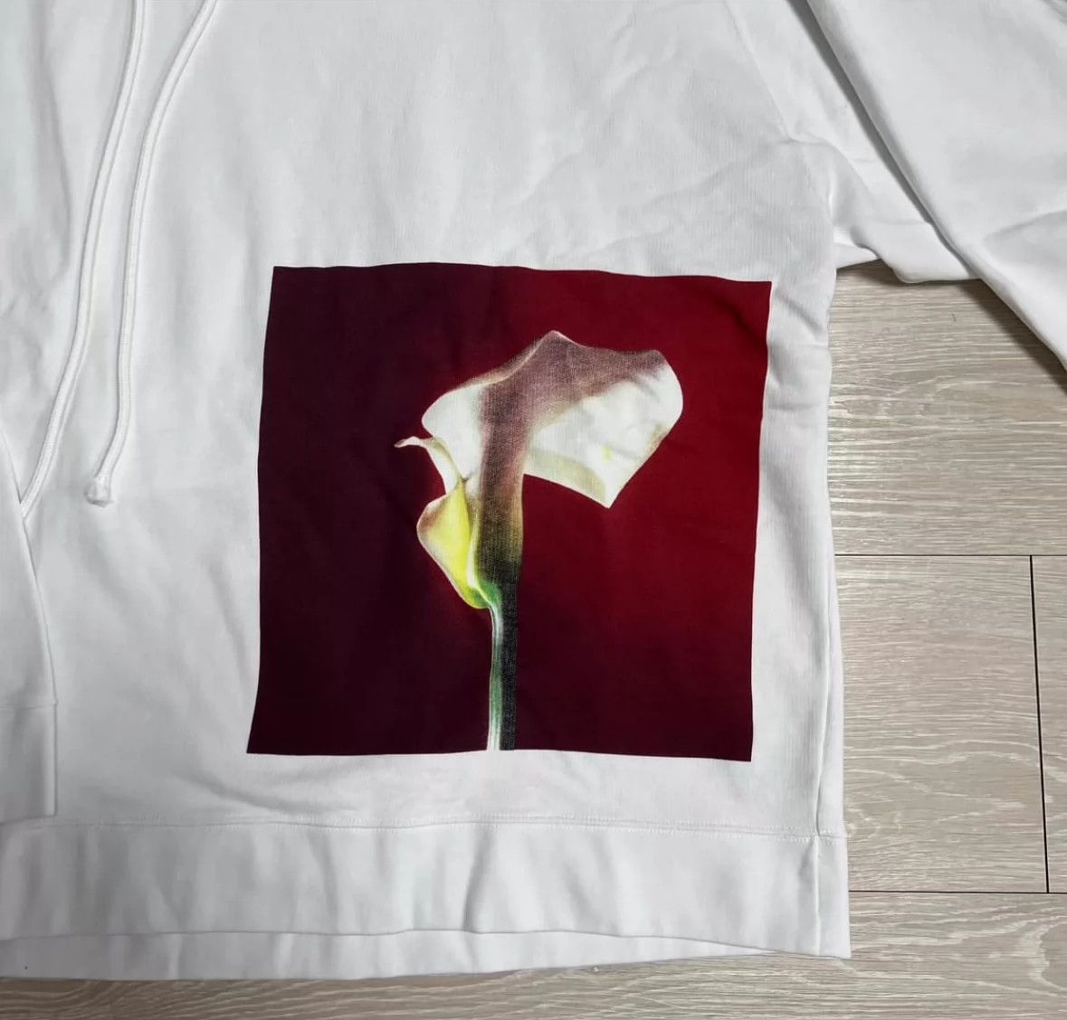 Raf Simons Raf Simons photographer RBT collaborates on hoodies -DMC Size US S / EU 44-46 / 1 - 2 Thumbnail
