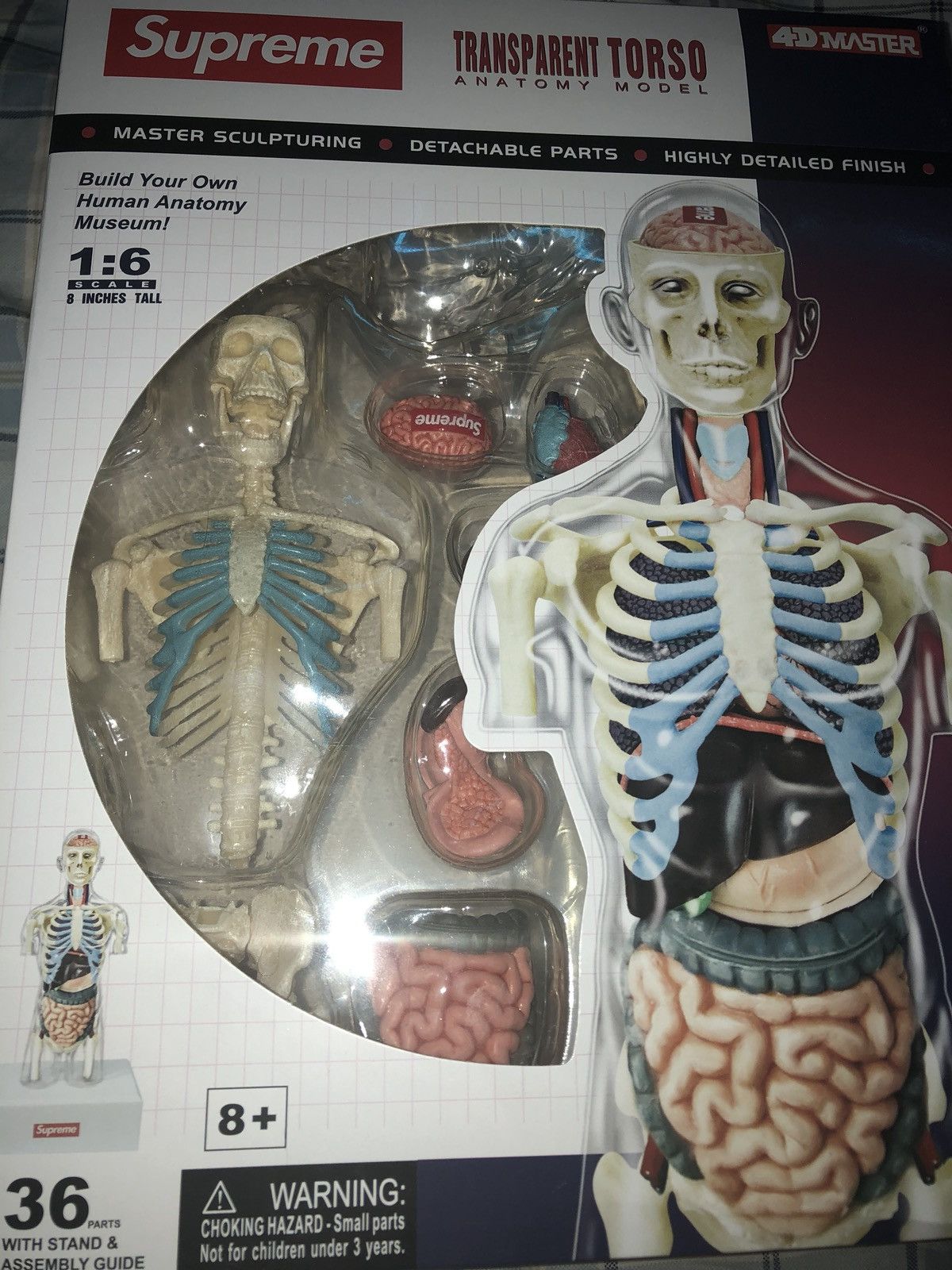Supreme Supreme Male Anatomy Model | Grailed
