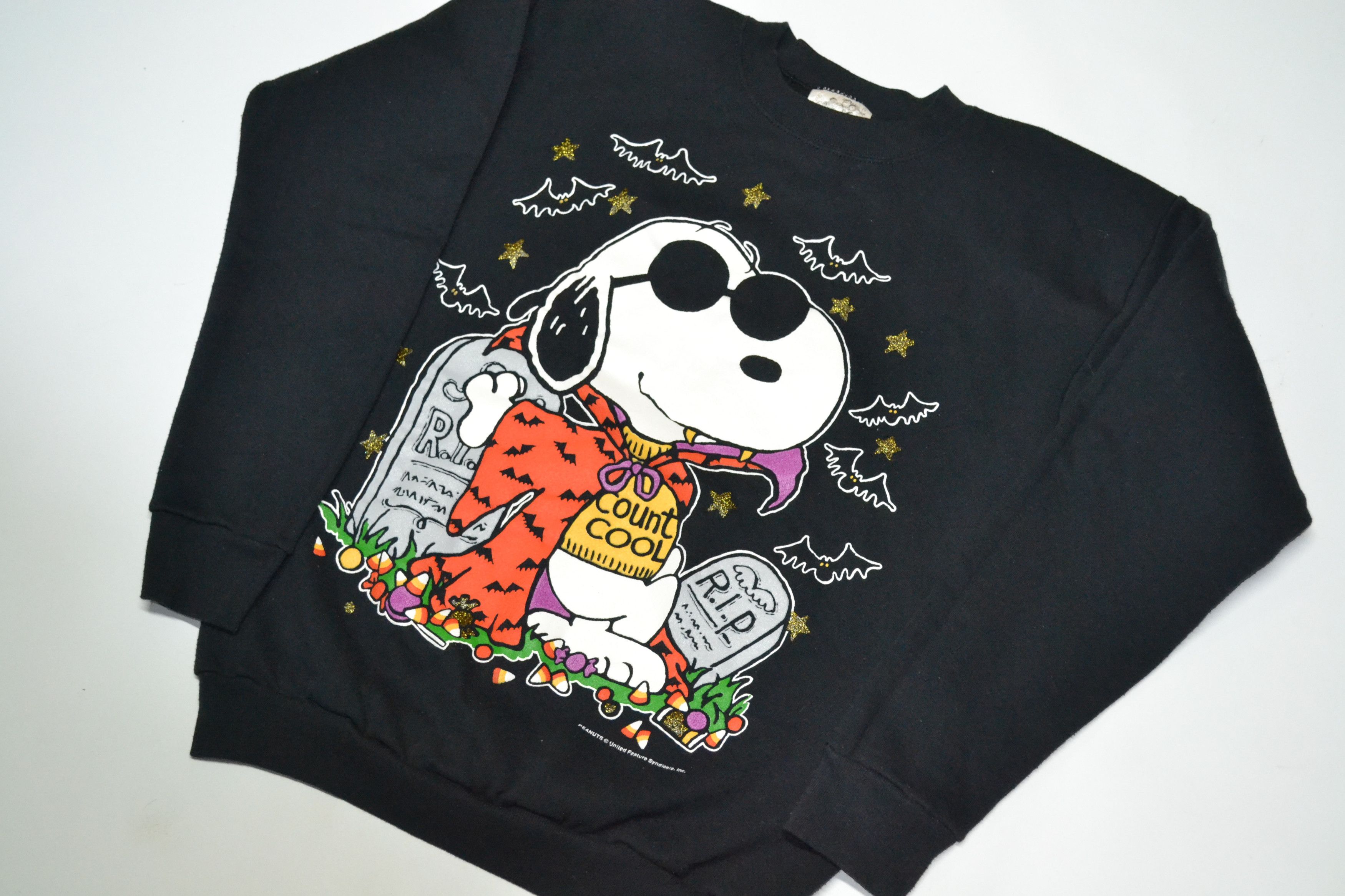 70s Peanuts Charlie Brown & Snoopy スウェット 【公式通販】