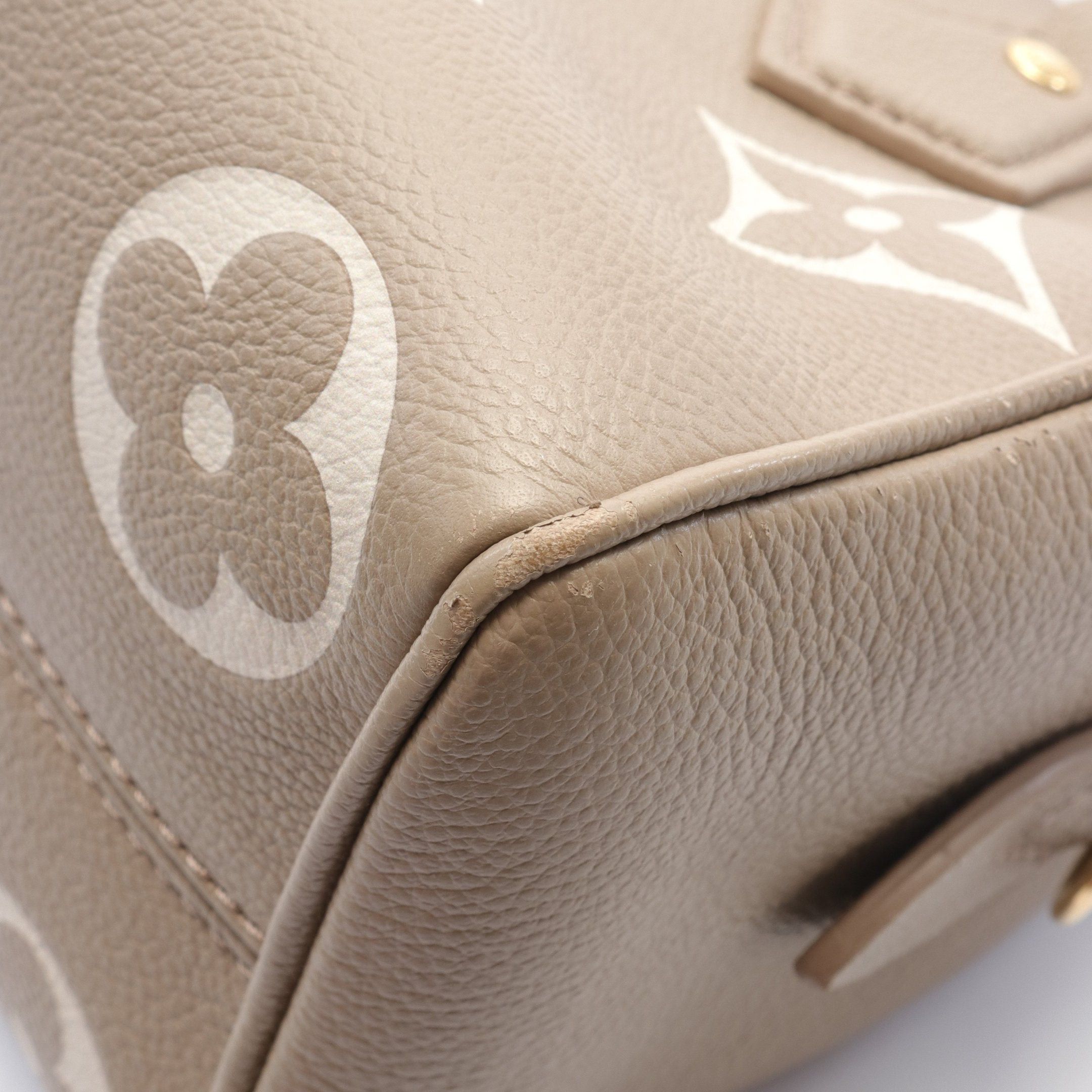 Louis Vuitton Louis Vuitton Speedy 20 Monogram Amplant Handbag Leather Gray Beige Size ONE SIZE - 8 Thumbnail