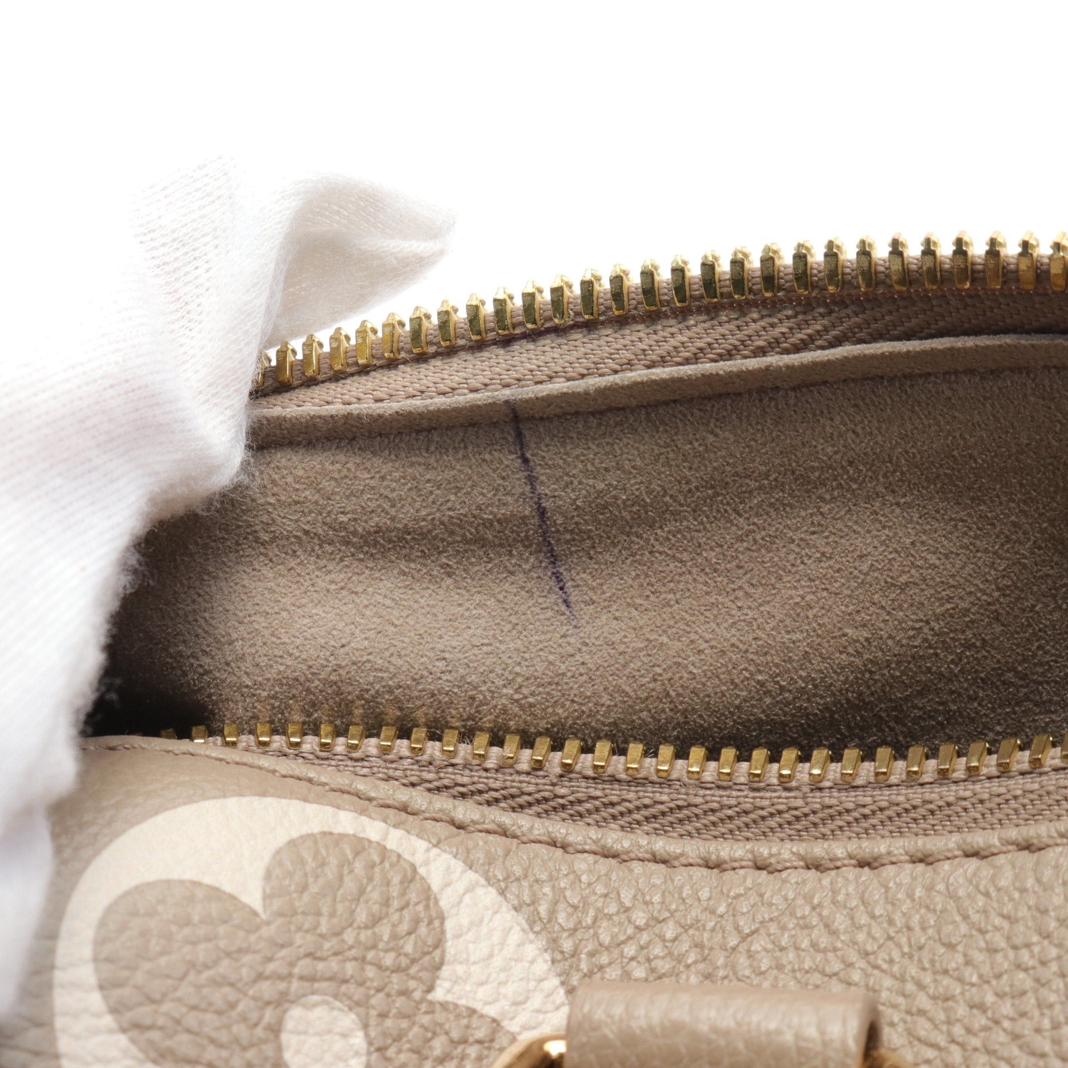 Louis Vuitton Louis Vuitton Speedy 20 Monogram Amplant Handbag Leather Gray Beige Size ONE SIZE - 7 Thumbnail