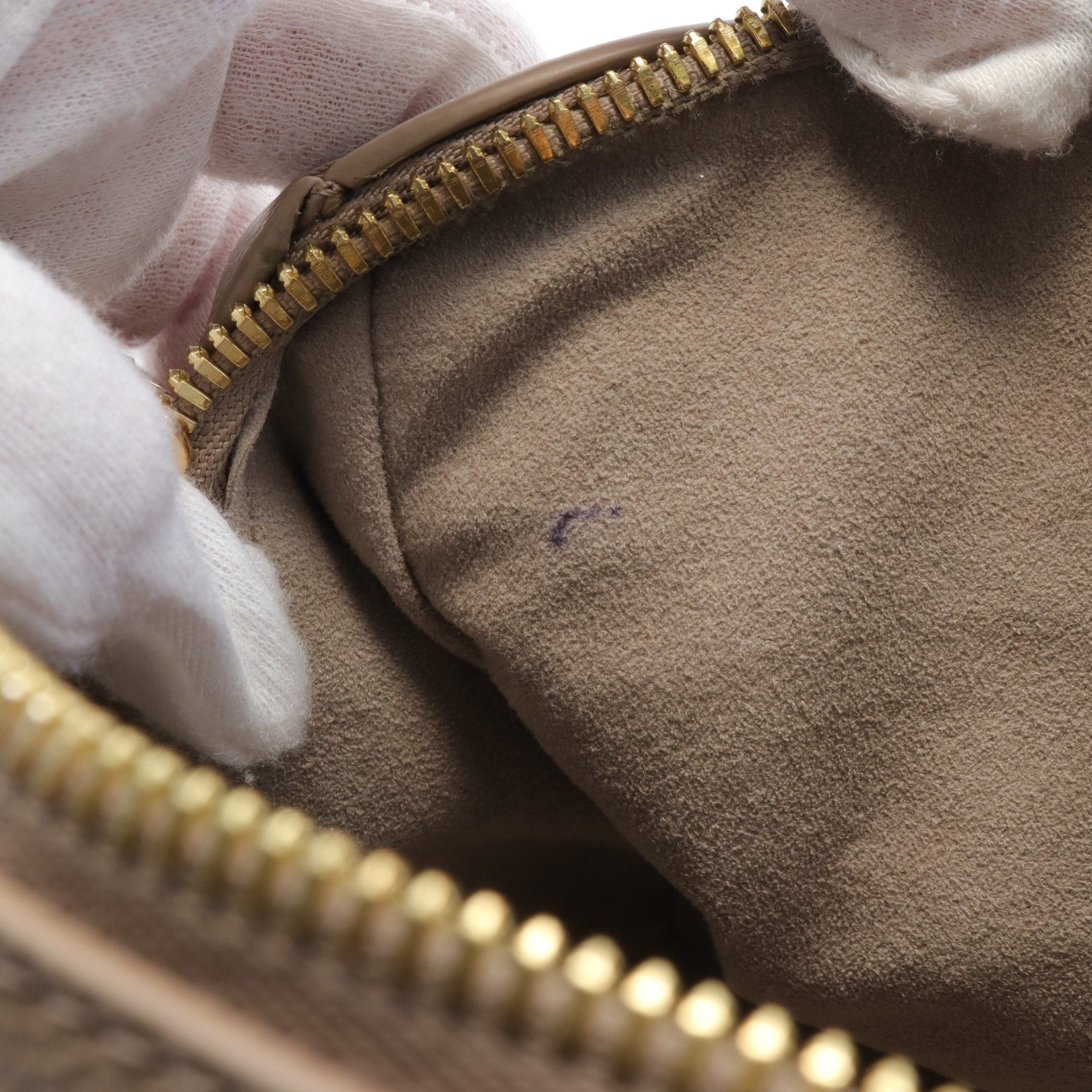 Louis Vuitton Louis Vuitton Speedy 20 Monogram Amplant Handbag Leather Gray Beige Size ONE SIZE - 6 Thumbnail