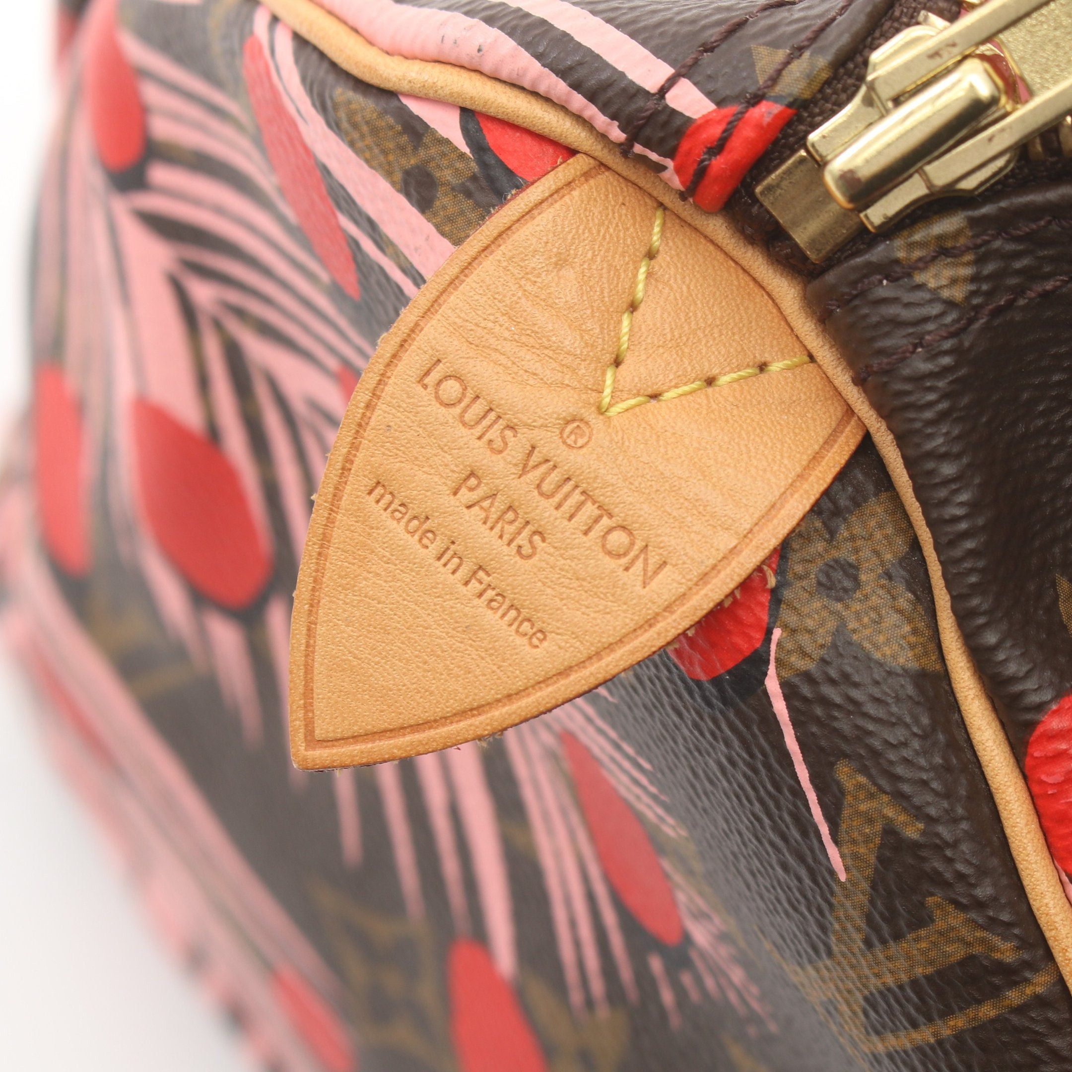 Louis Vuitton Louis Vuitton Speedy 30 Monogram Jungle Dot Handbag Leather Brown Pink Red Size ONE SIZE - 4 Thumbnail