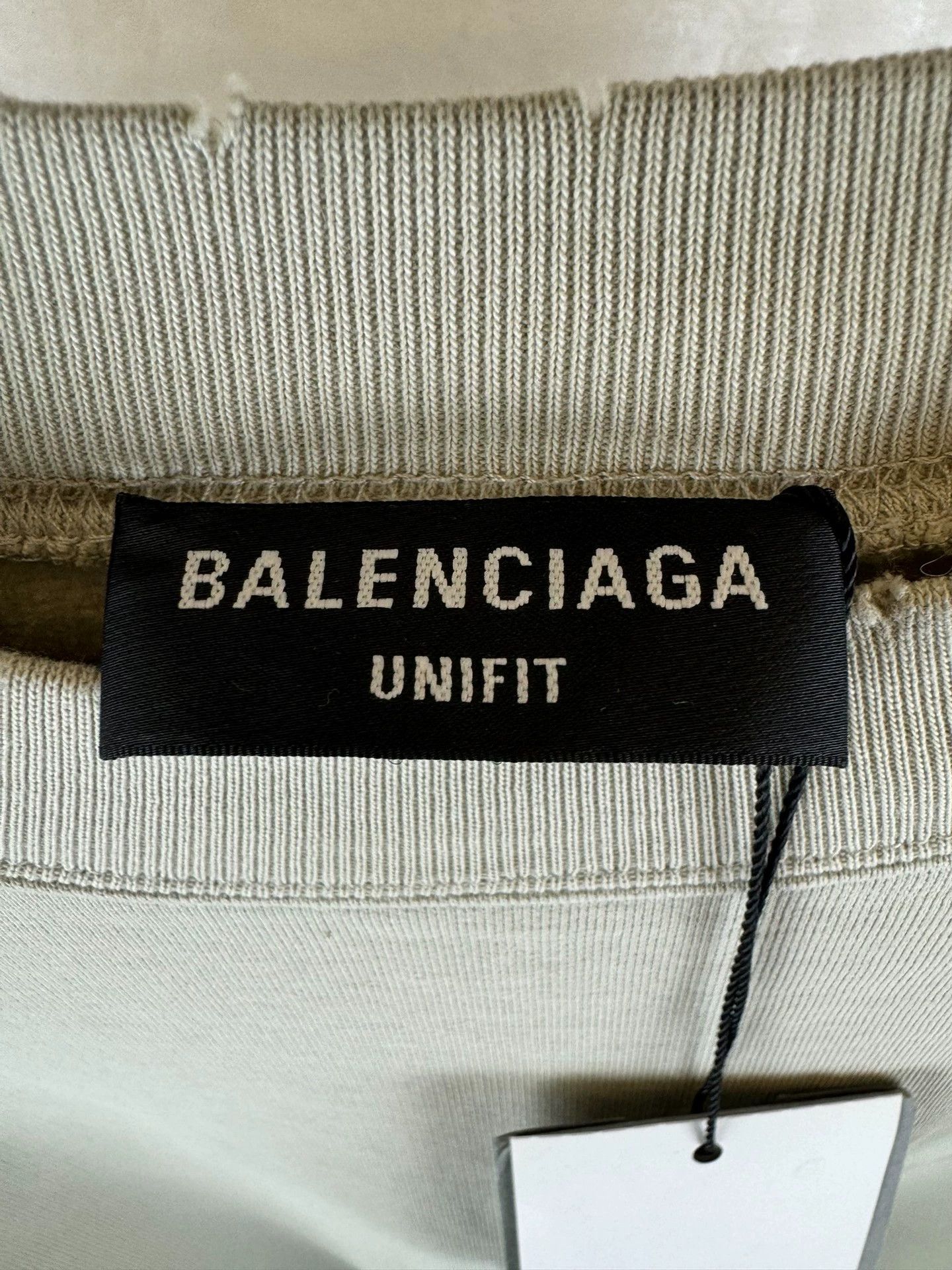 Balenciaga Balenciaga Tiger Year Limited Edition Hoodie Size US M / EU 48-50 / 2 - 4 Thumbnail