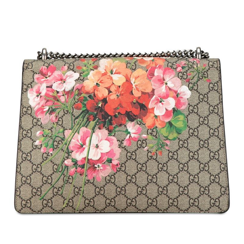 Gucci Gucci Gucci Dionysus Chain Shoulder Bag PVC Suede 400235 Plastic Shoulder Bag 400235 in Very Good Condition Size ONE SIZE - 3 Thumbnail