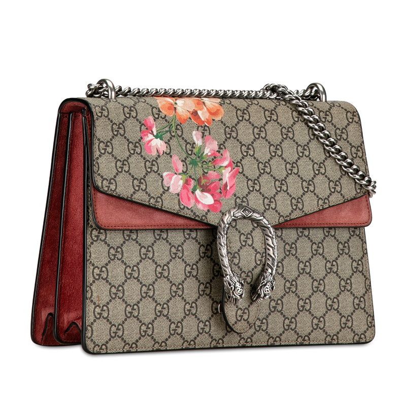 Gucci Gucci Gucci Dionysus Chain Shoulder Bag PVC Suede 400235 Plastic Shoulder Bag 400235 in Very Good Condition Size ONE SIZE - 2 Thumbnail