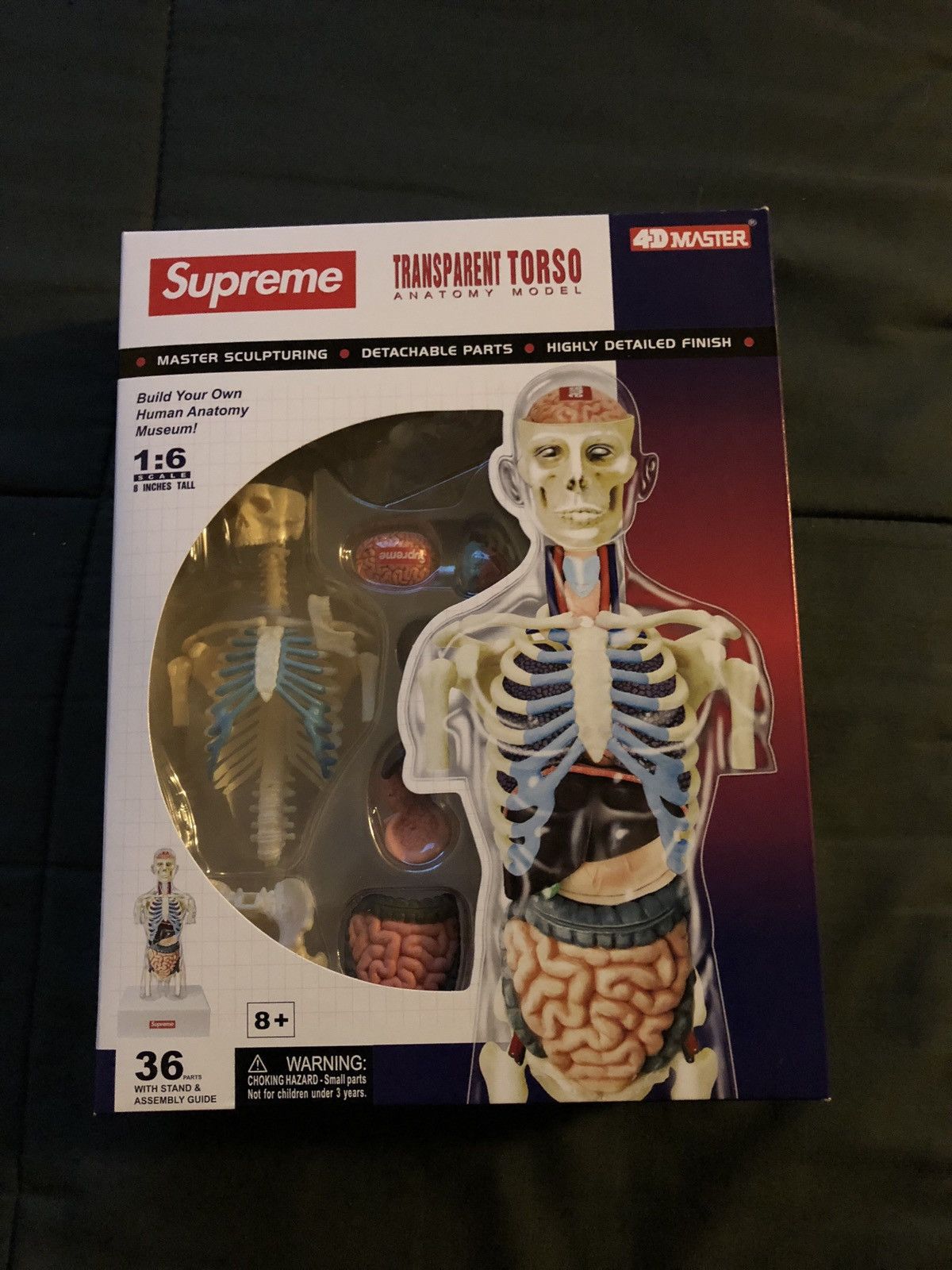 Supreme Supreme Male Anatomy Model | Grailed
