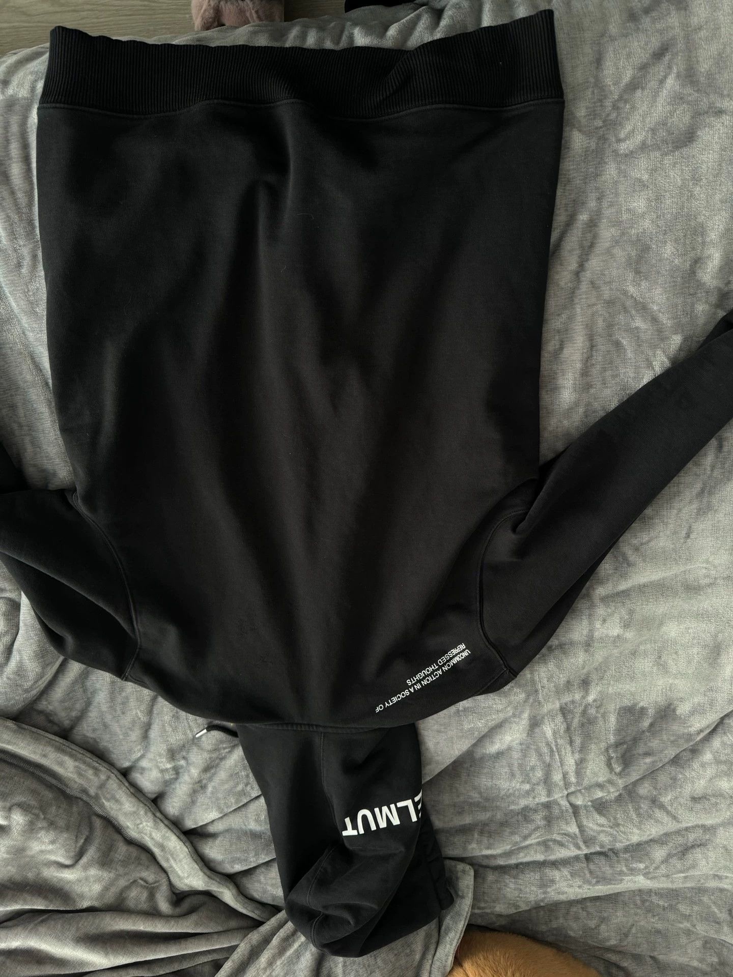 Helmut Lang Helmut lang hoodie Size US L / EU 52-54 / 3 - 4 Thumbnail