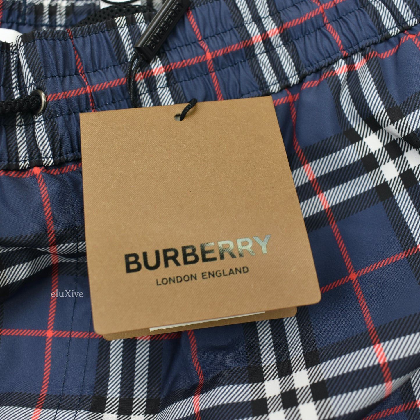 Burberry Burberry Navy Archive Check Swim Shorts Trunks Size US 32 / EU 48 - 8 Thumbnail