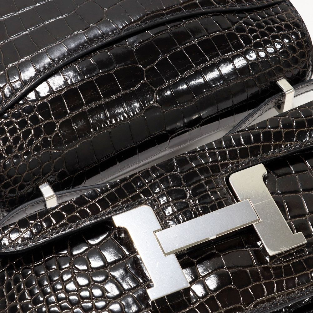 Hermes Hermes Hermes Constance III Mini Alligator Bag Leather Crossbody Bag in Pristine Condition Size ONE SIZE - 6 Thumbnail